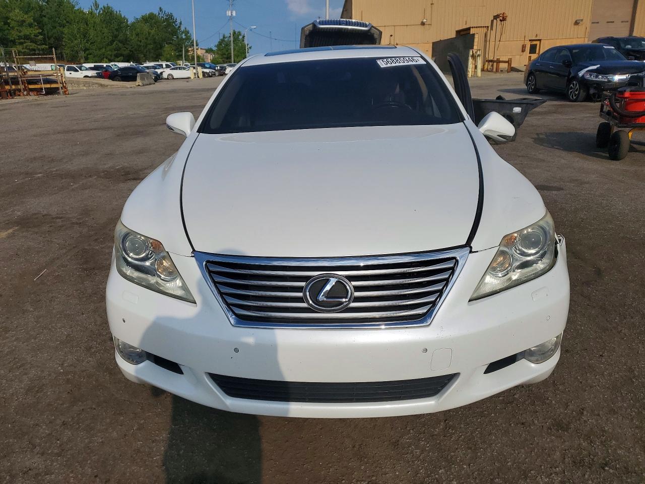 2012 Lexus Ls 460 Белый vin: JTHBL5EF6C5111801