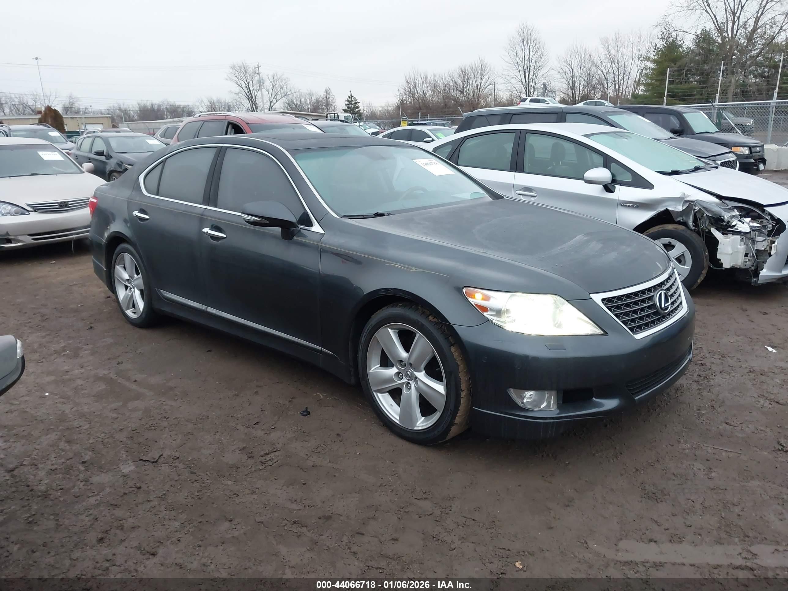 2011 Lexus Ls 460   Серый vin: JTHBL5EF7B5107528