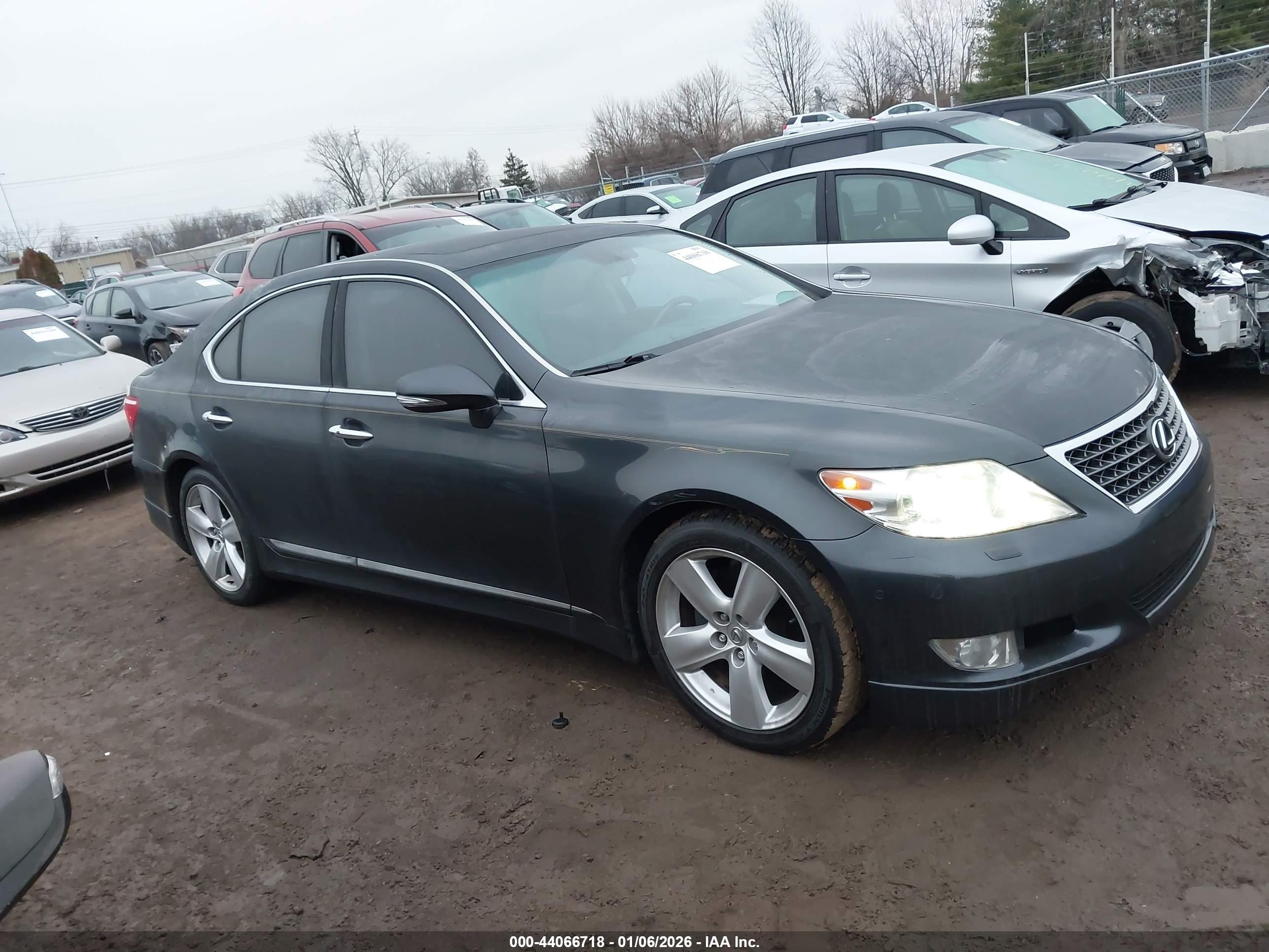 2011 Lexus Ls 460   Серый vin: JTHBL5EF7B5107528