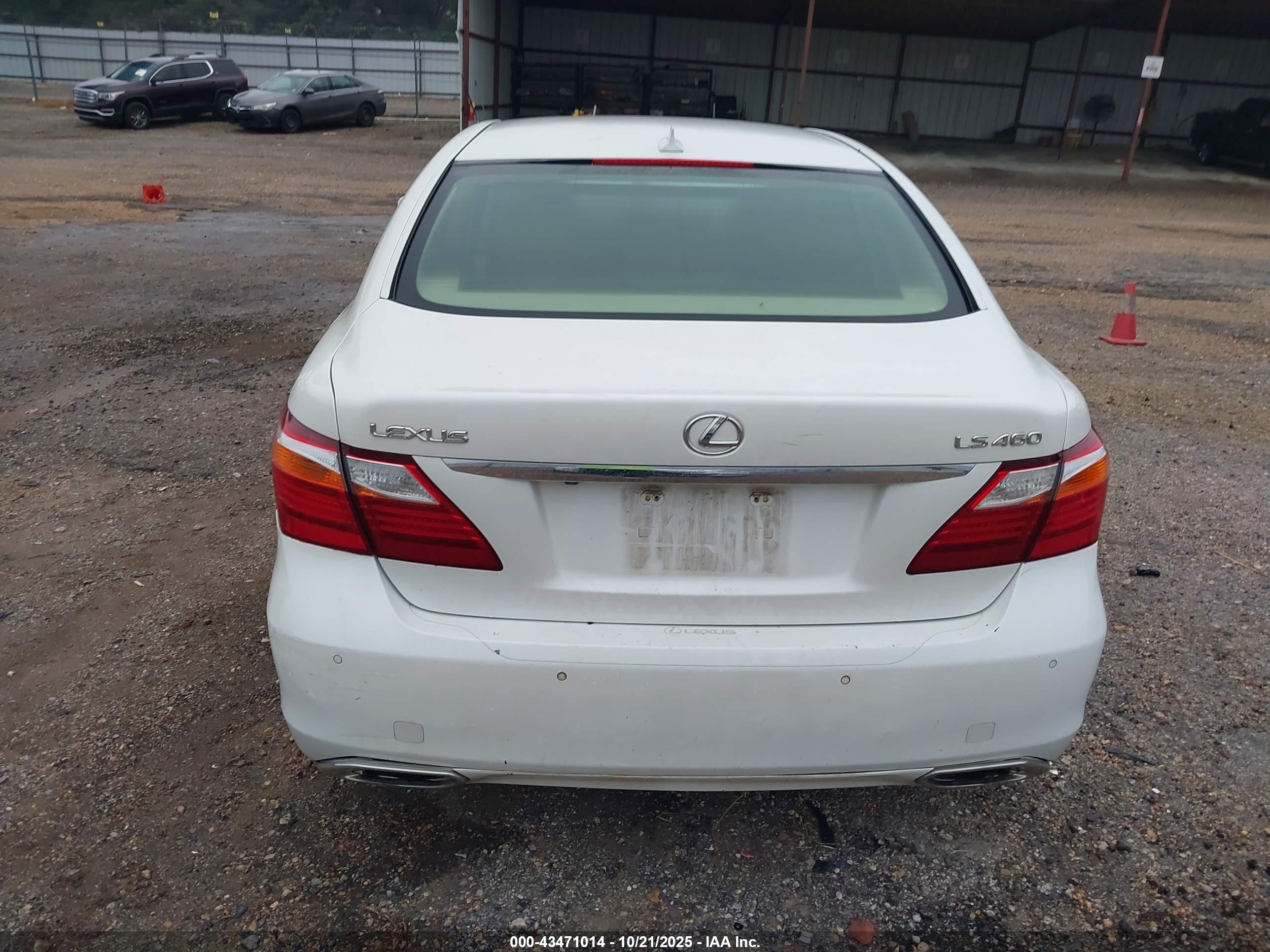 2010 Lexus Ls 460   Белый vin: JTHBL5EF8A5097459