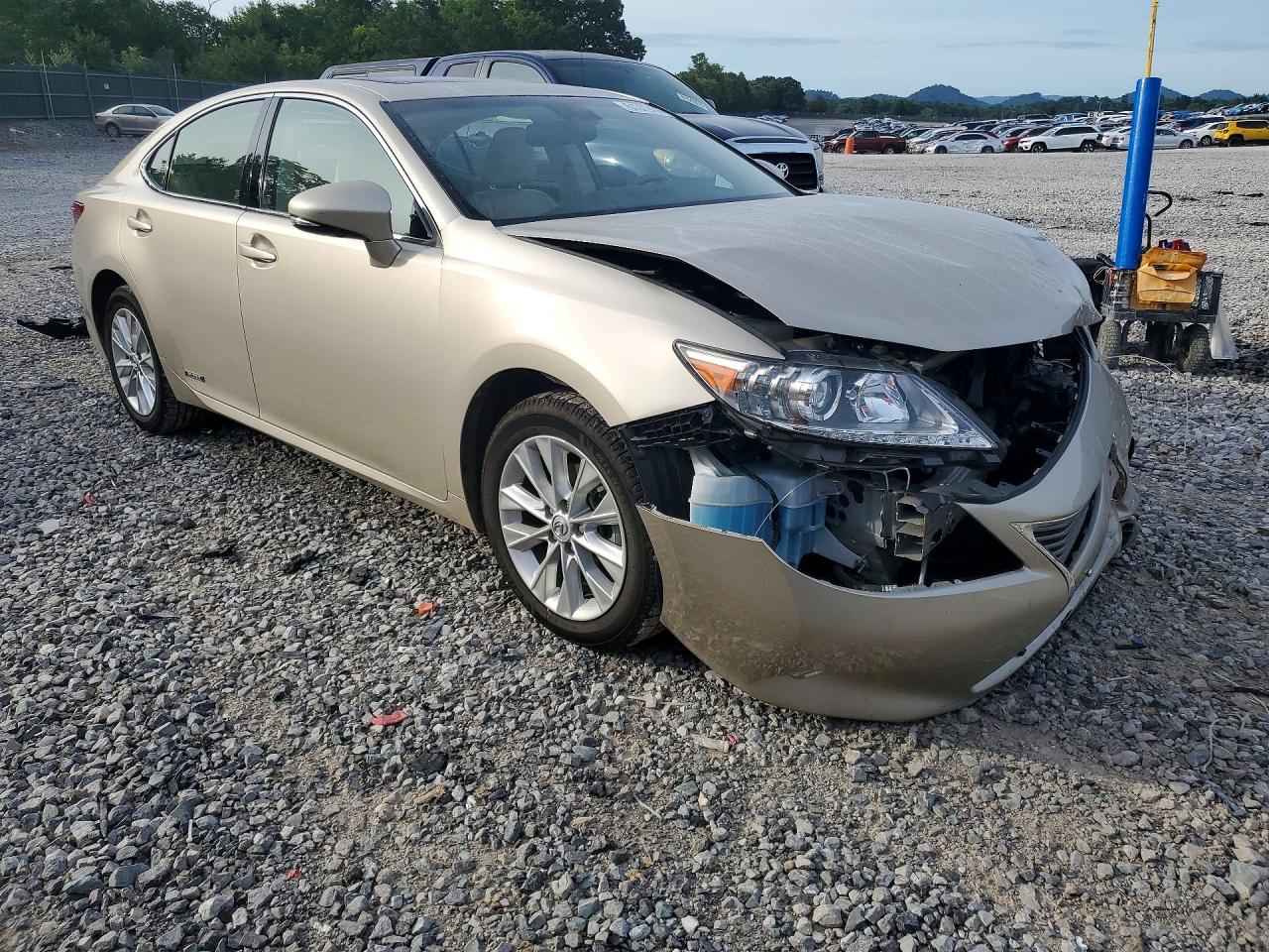 2014 Lexus Es 300h Gold vin: JTHBW1GG1E2044471