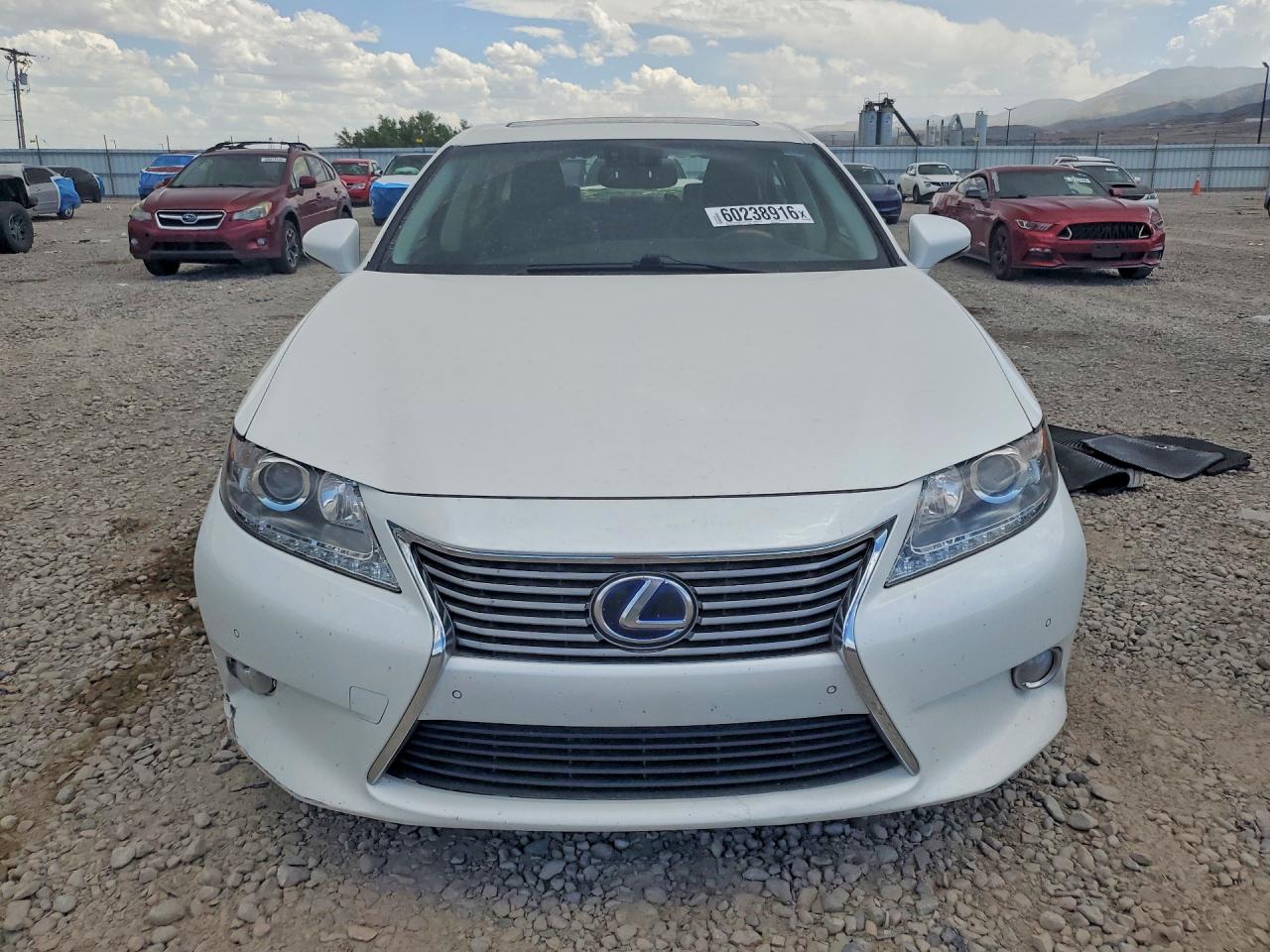 2013 Lexus Es 300h White vin: JTHBW1GG2D2010134