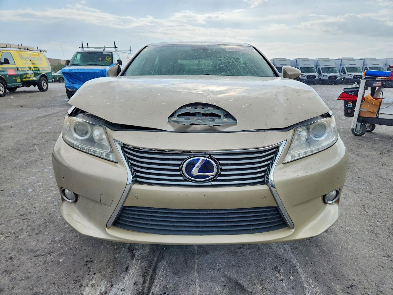 2013 Lexus Es 300h Beige vin: JTHBW1GG4D2003265