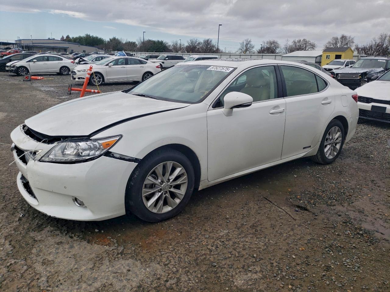 2014 Lexus Es 300h White vin: JTHBW1GG6E2053666