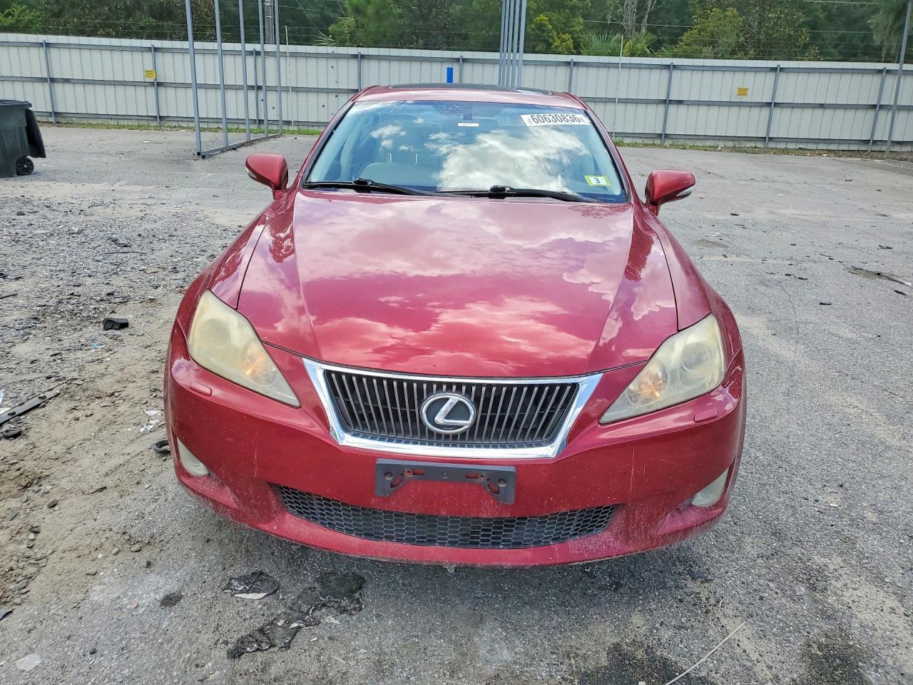 2010 Lexus Is 250 Red vin: JTHCF5C20A2033039