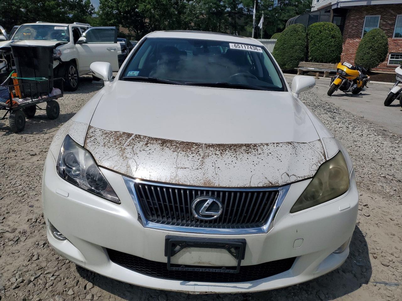 2010 Lexus Is 250 White vin: JTHCF5C25A2034185