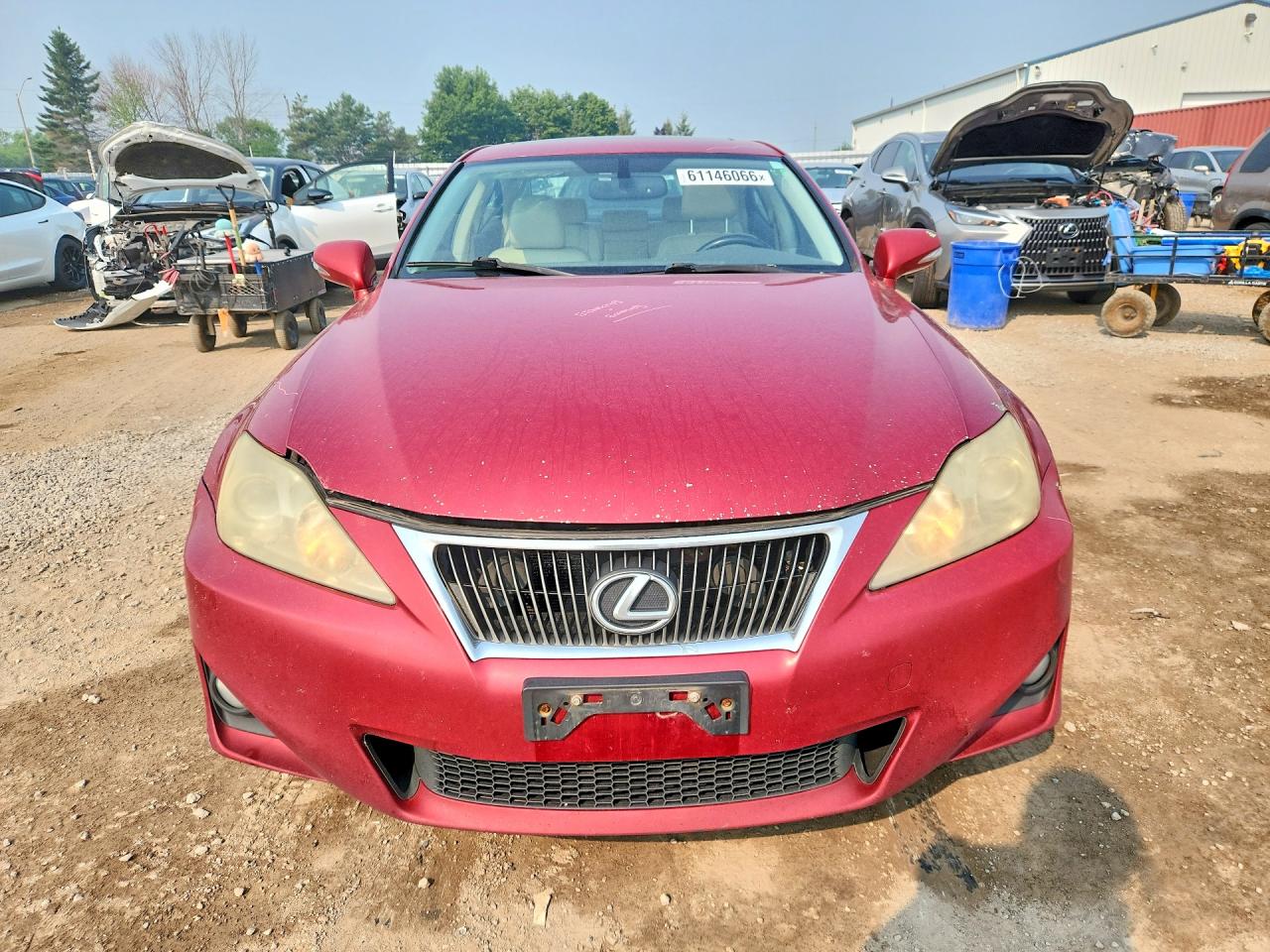 2011 Lexus Is 250 Red vin: JTHCF5C27B5049027