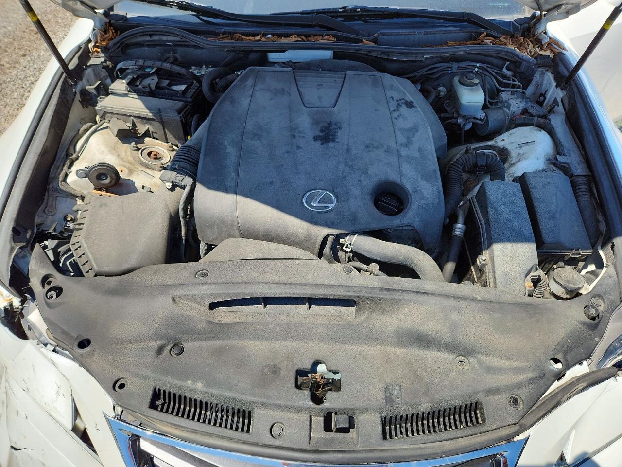 2015 Lexus Is 250 Белый vin: JTHCF5D25F5022512