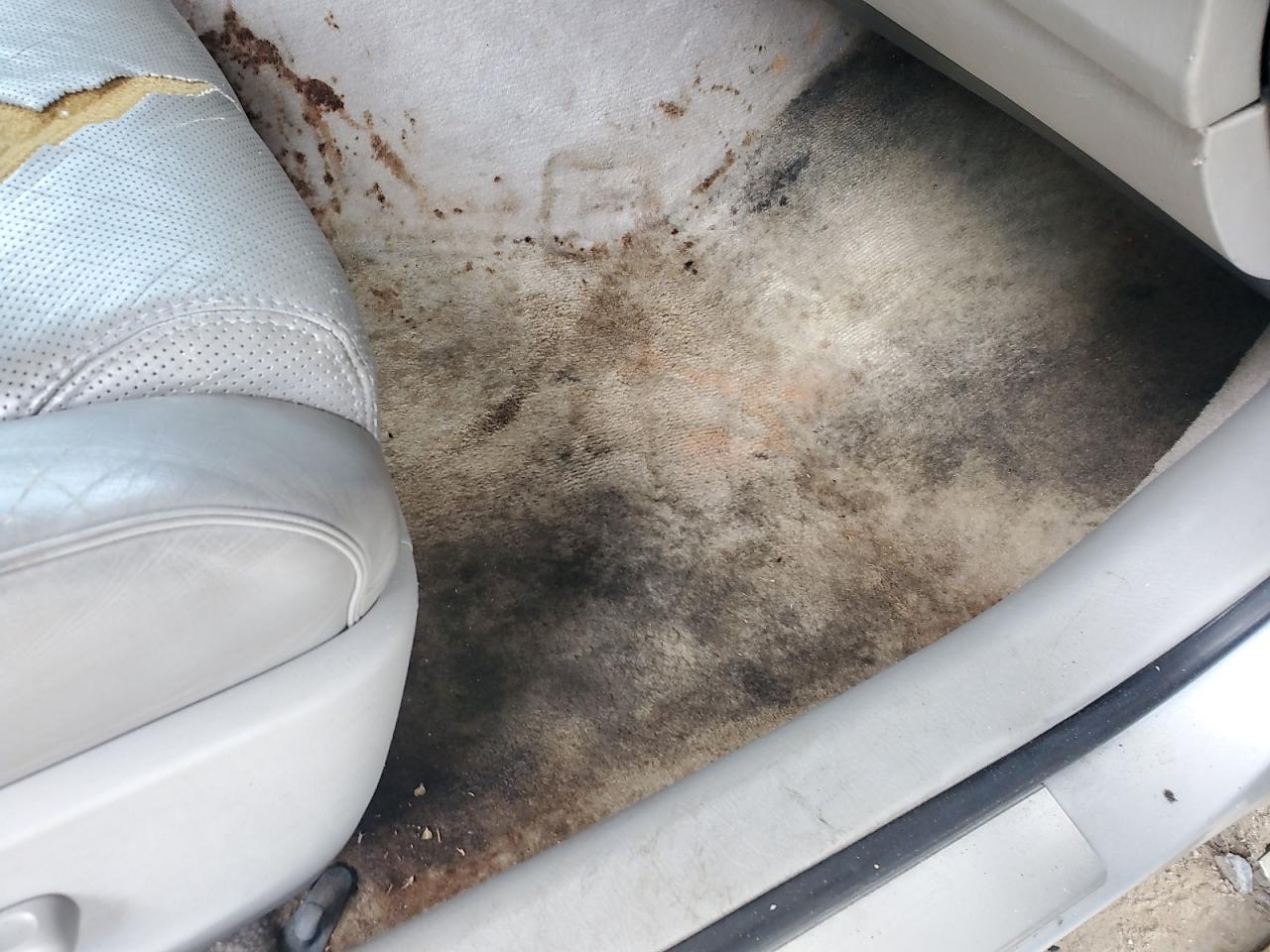 2006 Lexus Gs 300 Silver vin: JTHCH96S860004436 Damage: Right Front Carpet, Stained, Permanent