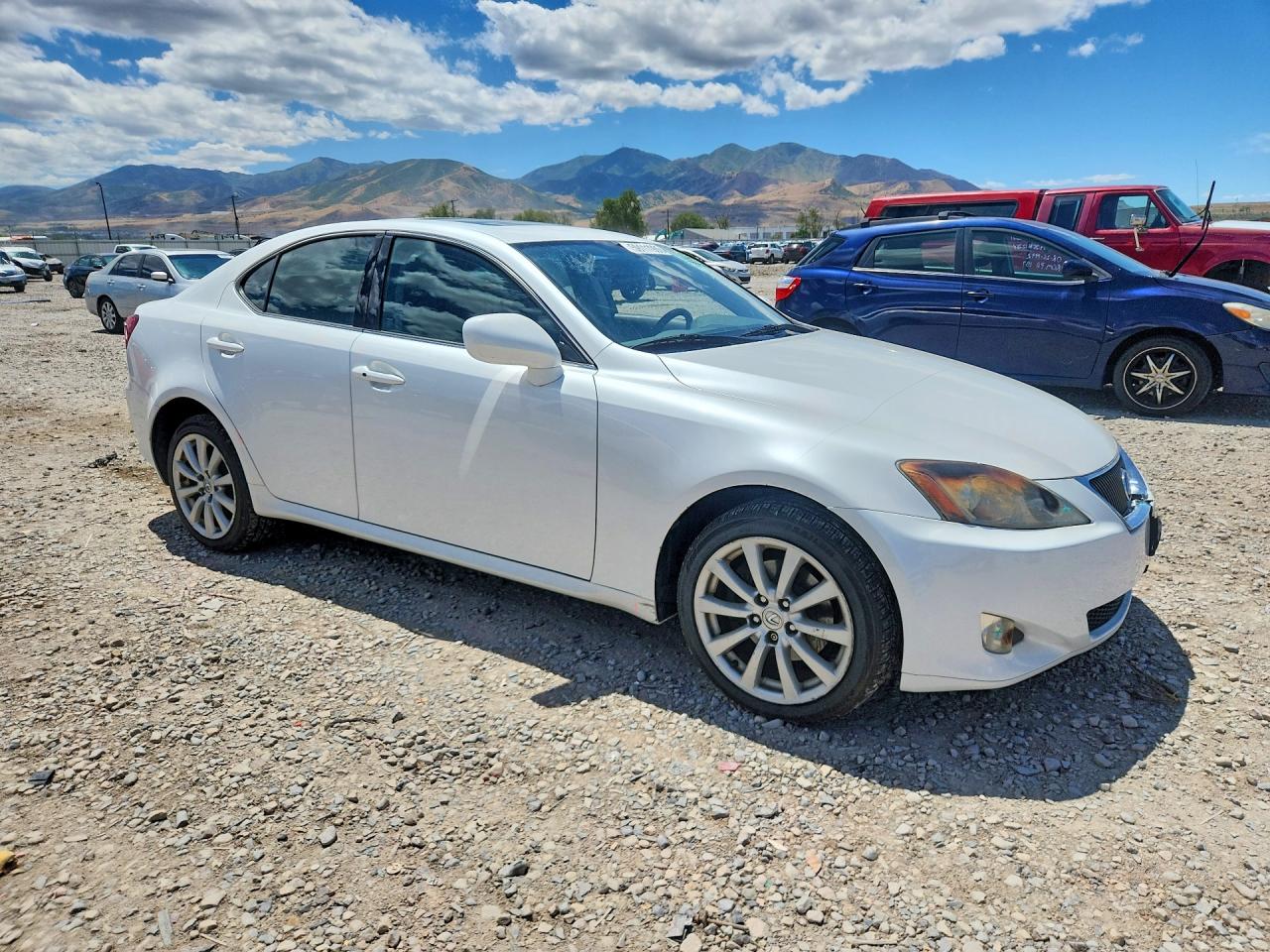 2008 Lexus Is 250 Белый vin: JTHCK262082020503