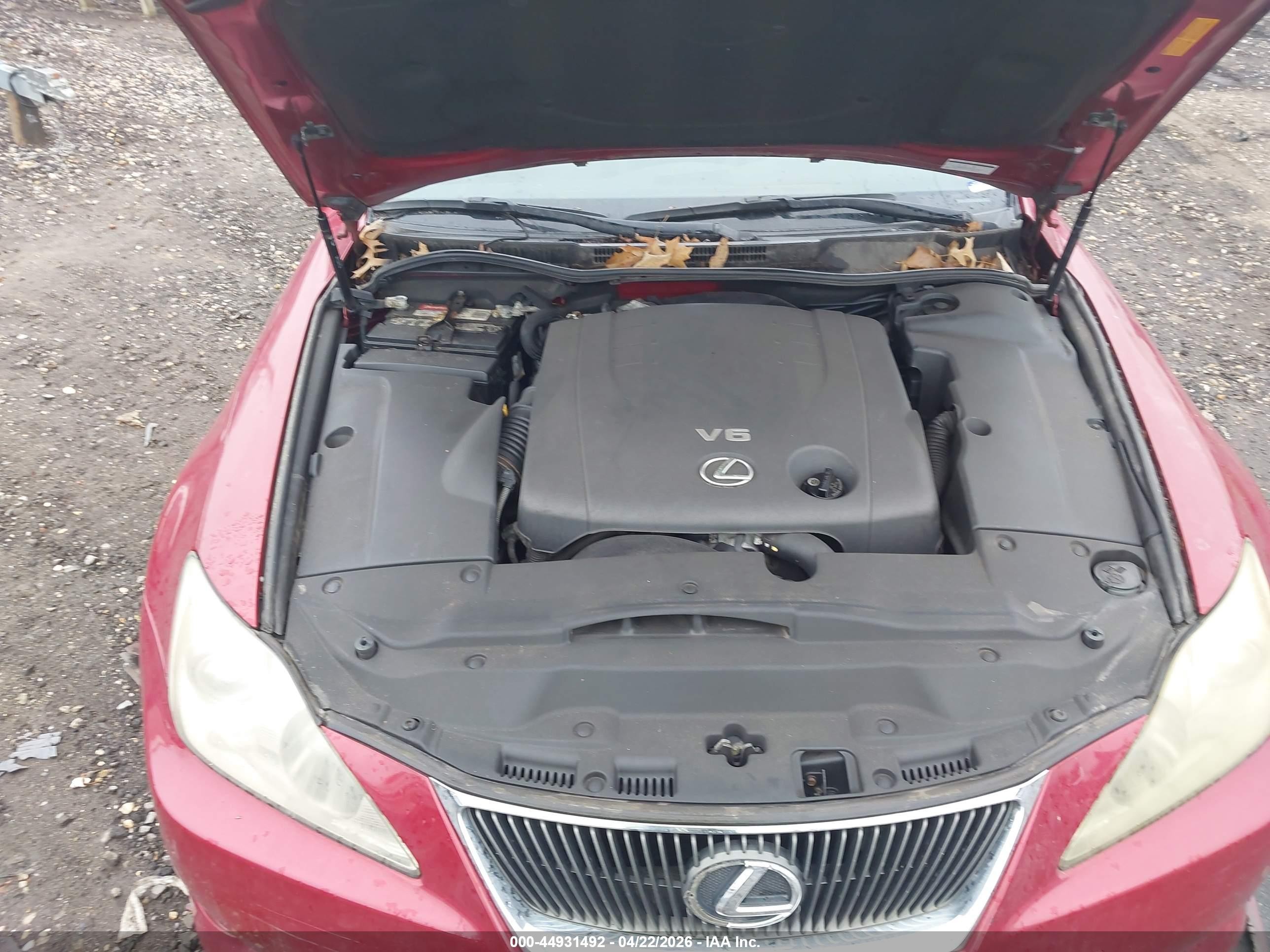 2006 Lexus Is 250   Red vin: JTHCK262162007529