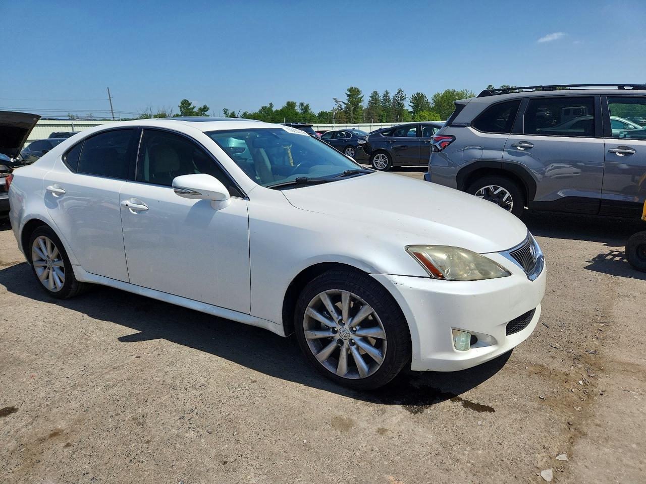 2009 Lexus Is 250 White vin: JTHCK262192031799