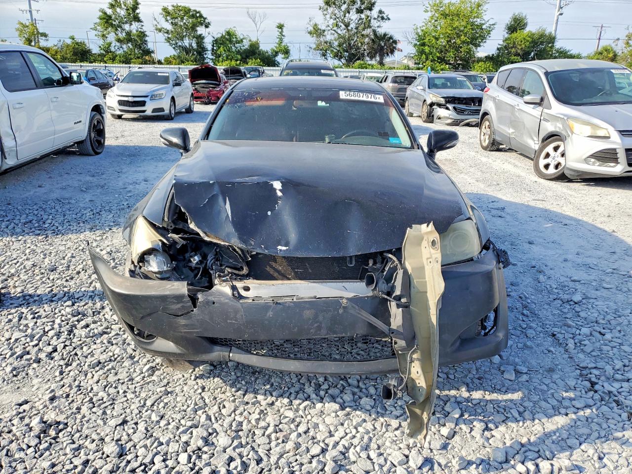 2009 Lexus Is 250 Black vin: JTHCK262195034877