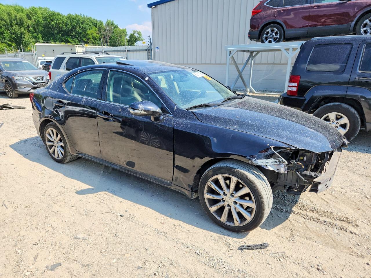 2009 Lexus Is 250 Black vin: JTHCK262295029459