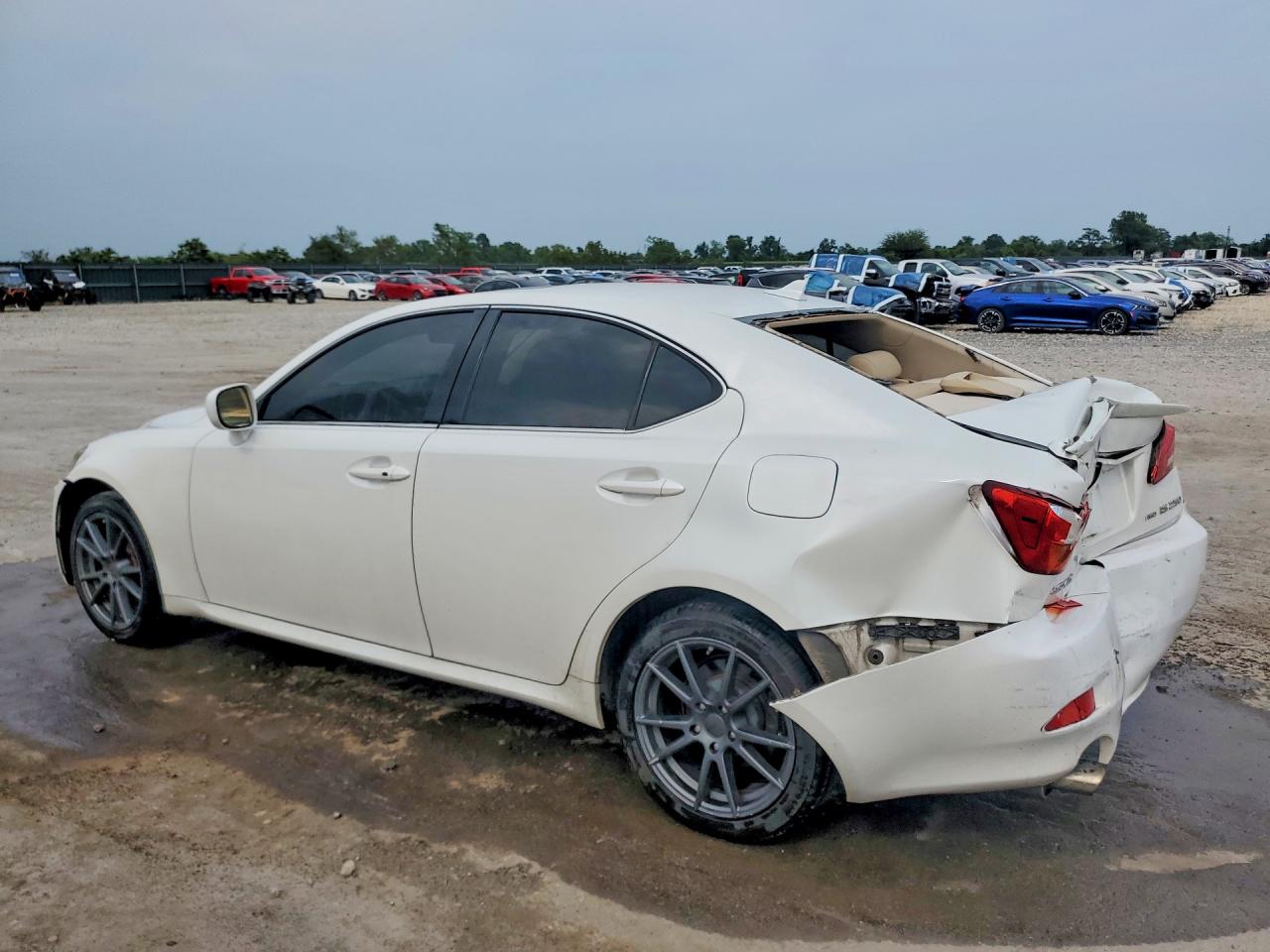 2008 Lexus Is 250 Белый vin: JTHCK262485023449