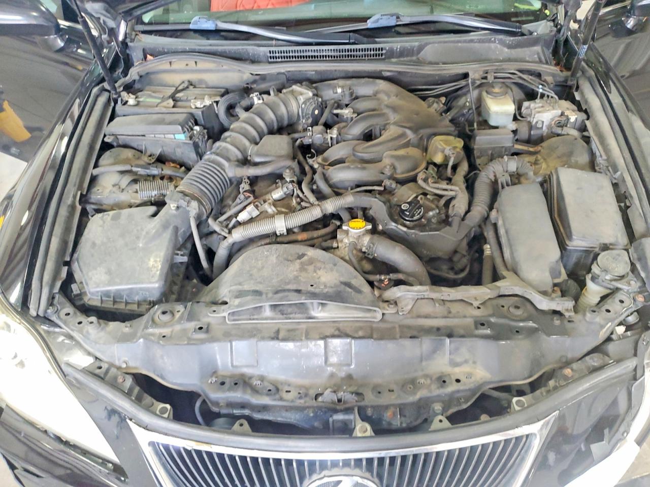 2008 Lexus Is 250 Black vin: JTHCK262885025382