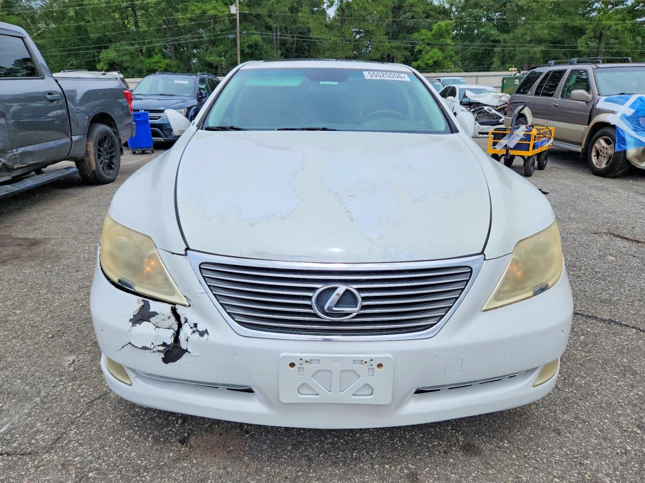 2009 Lexus Ls 460 White vin: JTHCL46F095002966