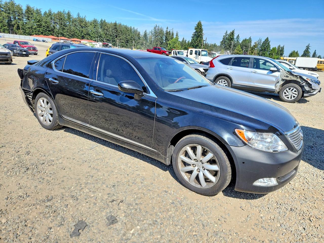 2009 Lexus Ls 460 Black vin: JTHCL46F595002414