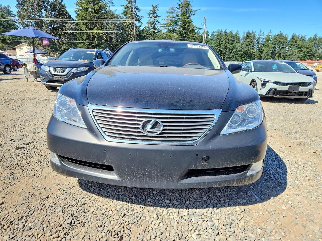 2009 Lexus Ls 460 Black vin: JTHCL46F595002414
