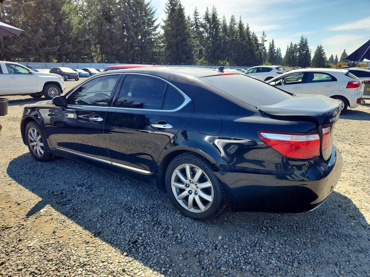 2009 Lexus Ls 460 Black vin: JTHCL46F595002414