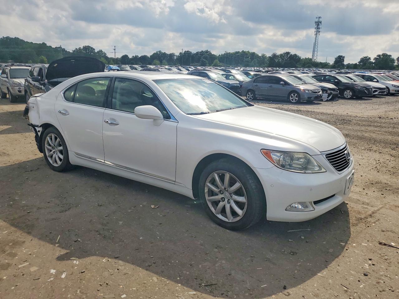 2009 Lexus Ls 460 White vin: JTHCL46F695001577