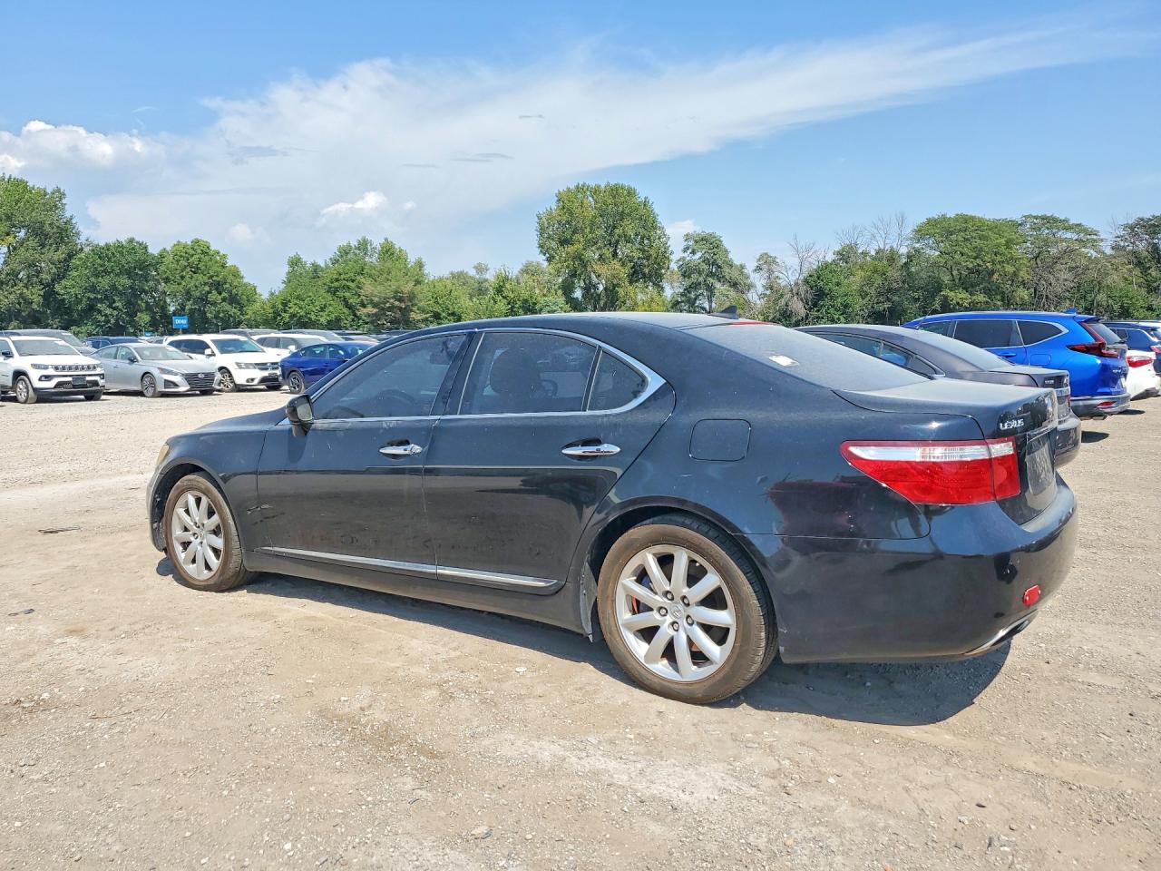 2009 Lexus Ls 460 Black vin: JTHCL46F695004575