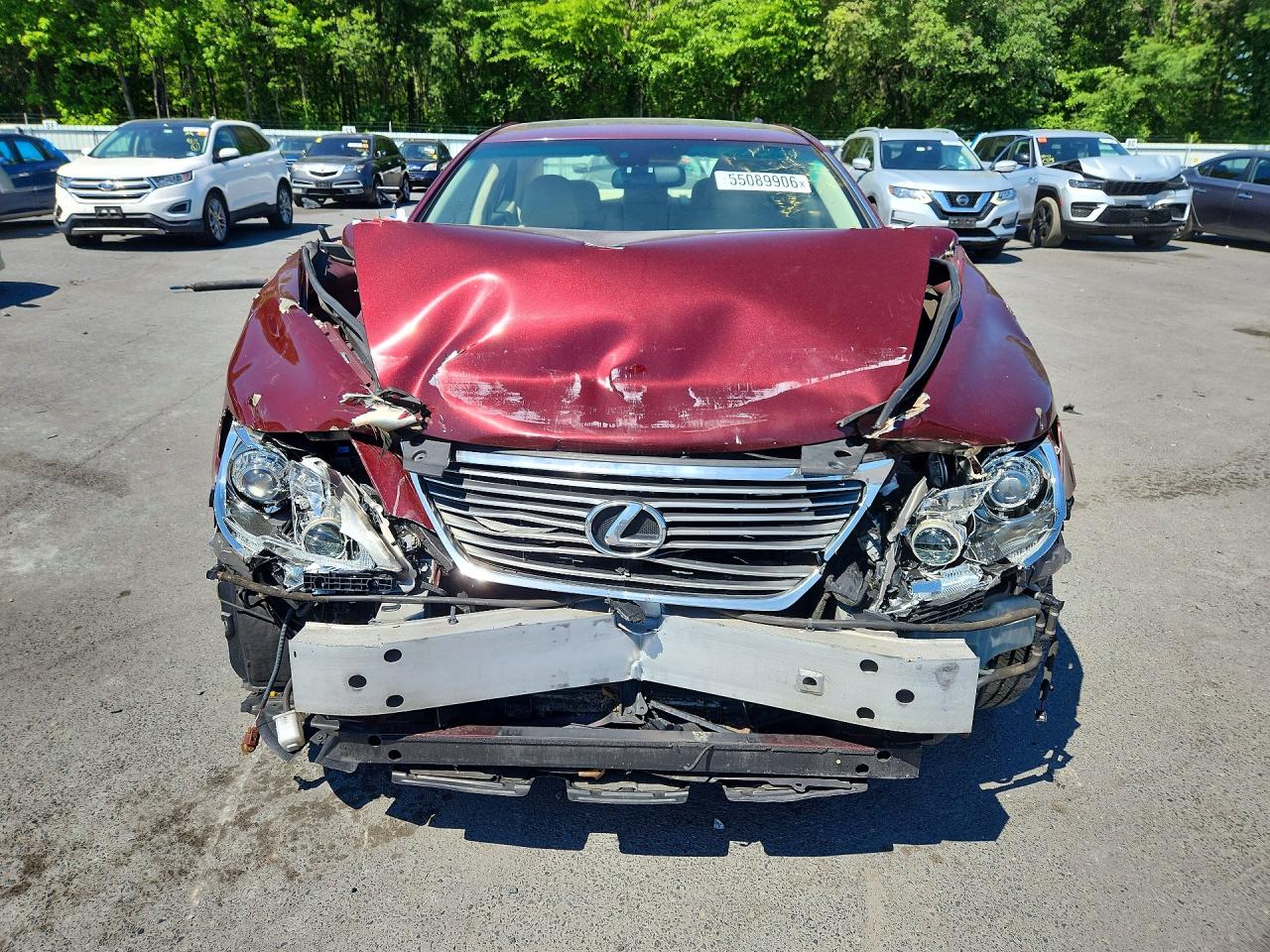 2009 Lexus Ls 460 Red vin: JTHCL46FX95001727