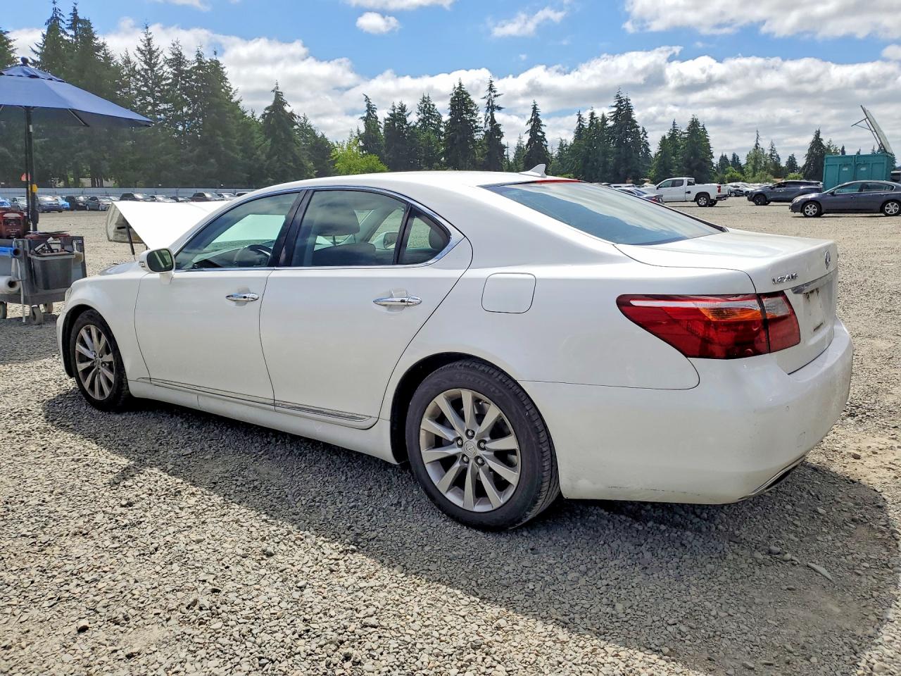 2010 Lexus Ls 460 White vin: JTHCL5EF3A5005596