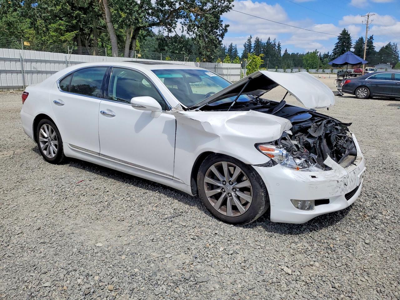 2010 Lexus Ls 460 White vin: JTHCL5EF3A5005596