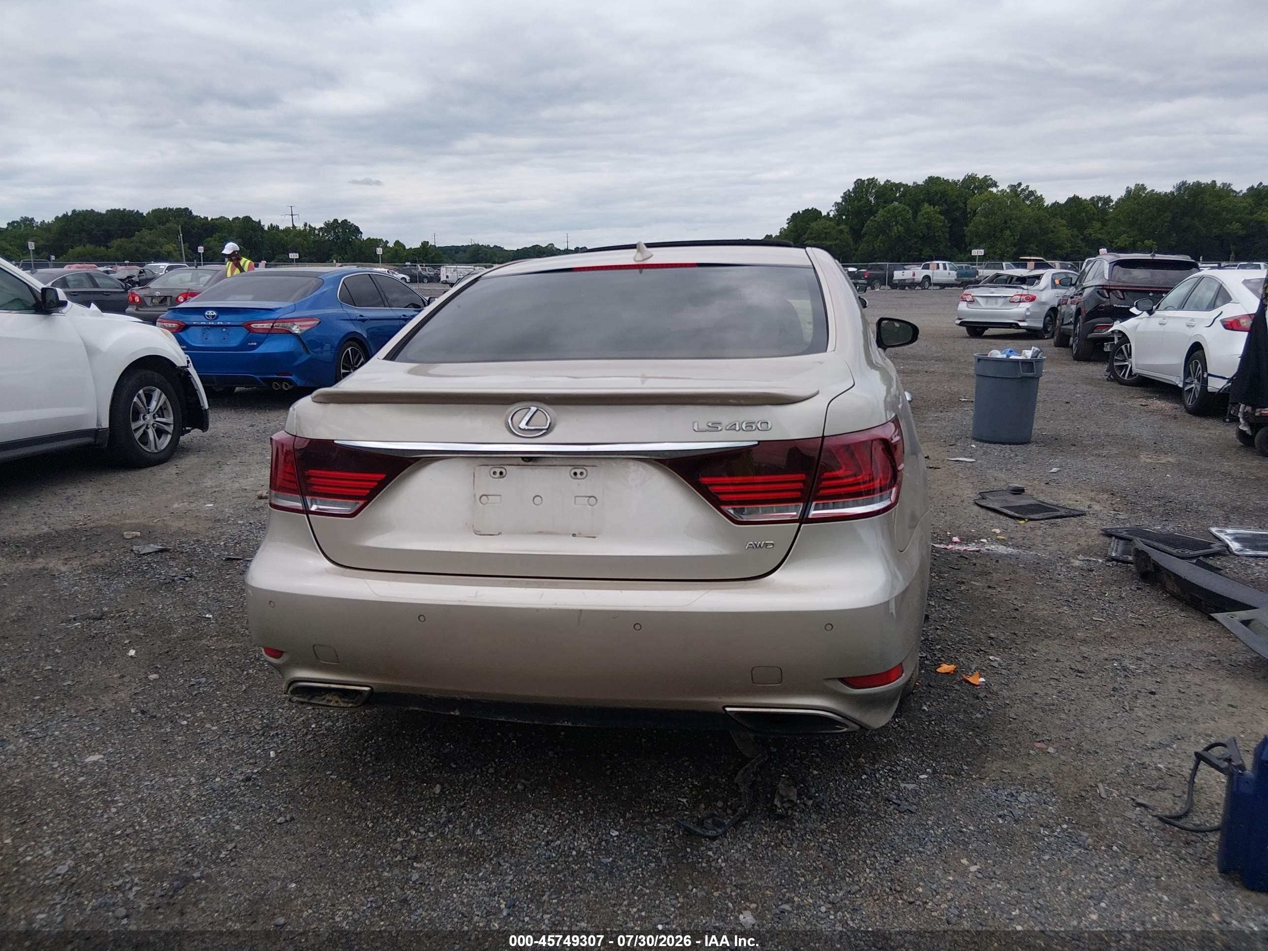 2015 Lexus Ls 460   Champagne vin: JTHCL5EF8F5023566