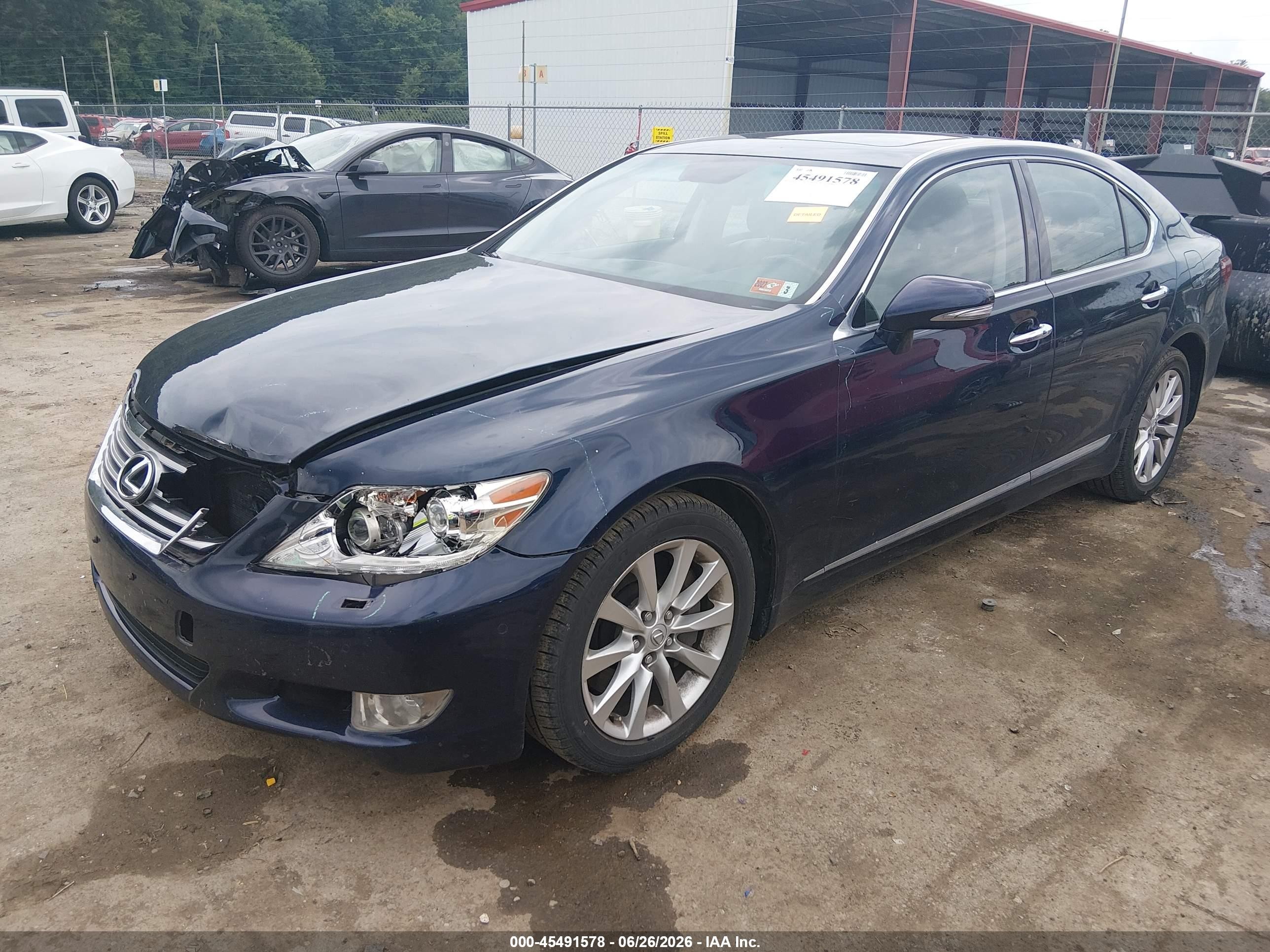 2010 Lexus Ls 460   Синий vin: JTHCL5EF9A5005683