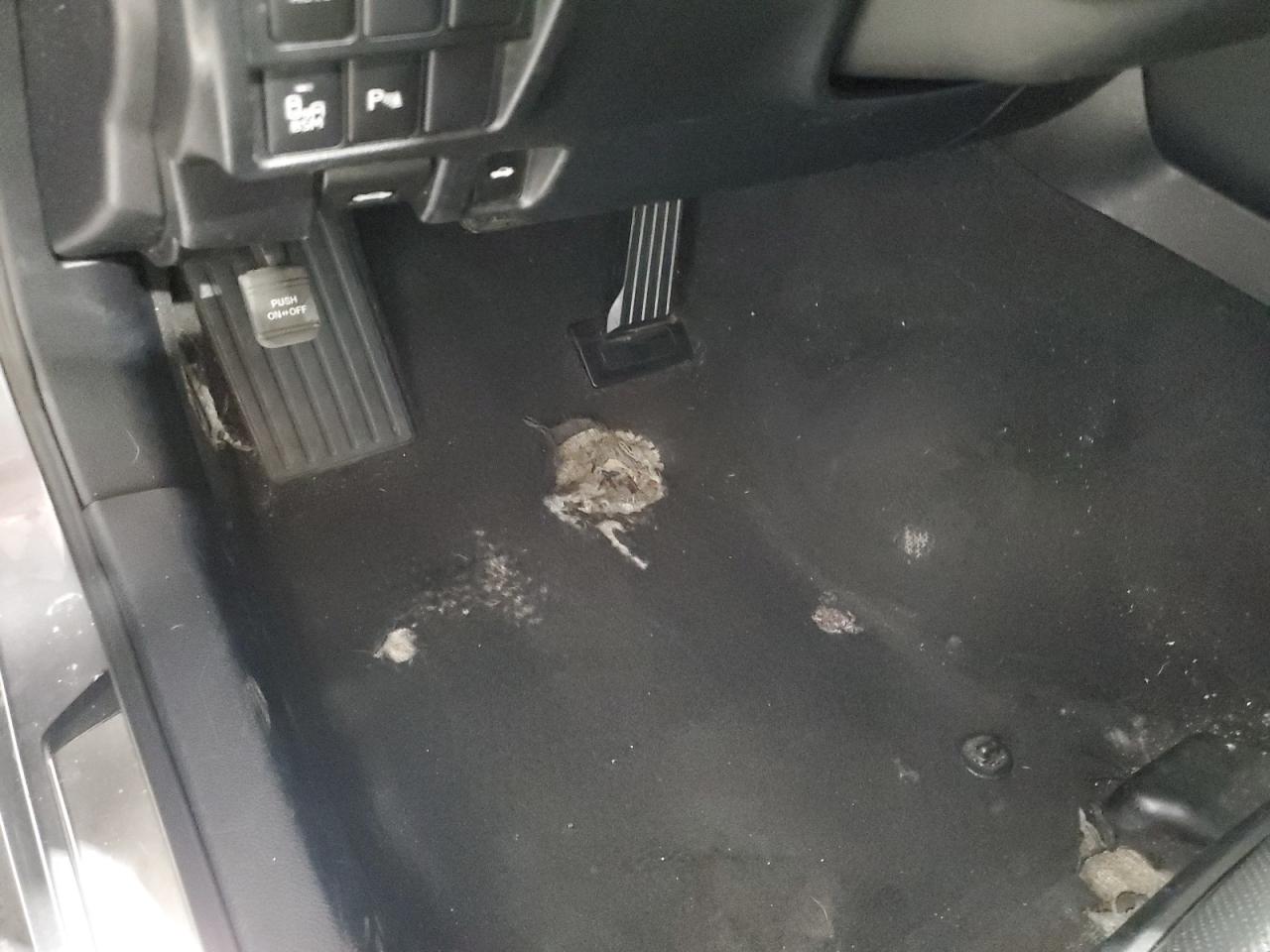 2020 Lexus Is 300 Premium Серый vin: JTHD81F28L5041653 Damage: Left Front Carpet, Torn, 5 To 6 Inches