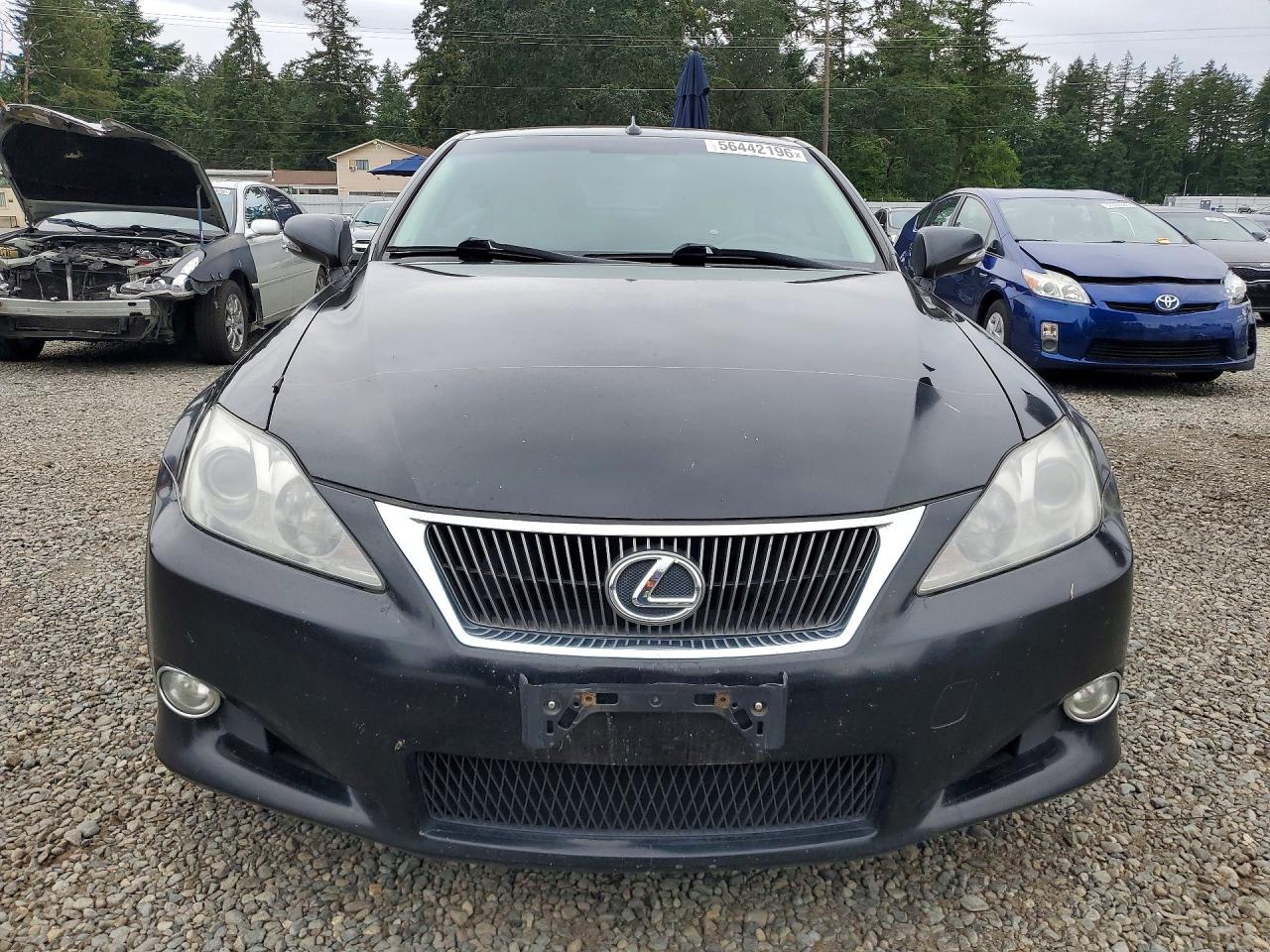 2010 Lexus Is 250 Black vin: JTHFF2C21A2514347