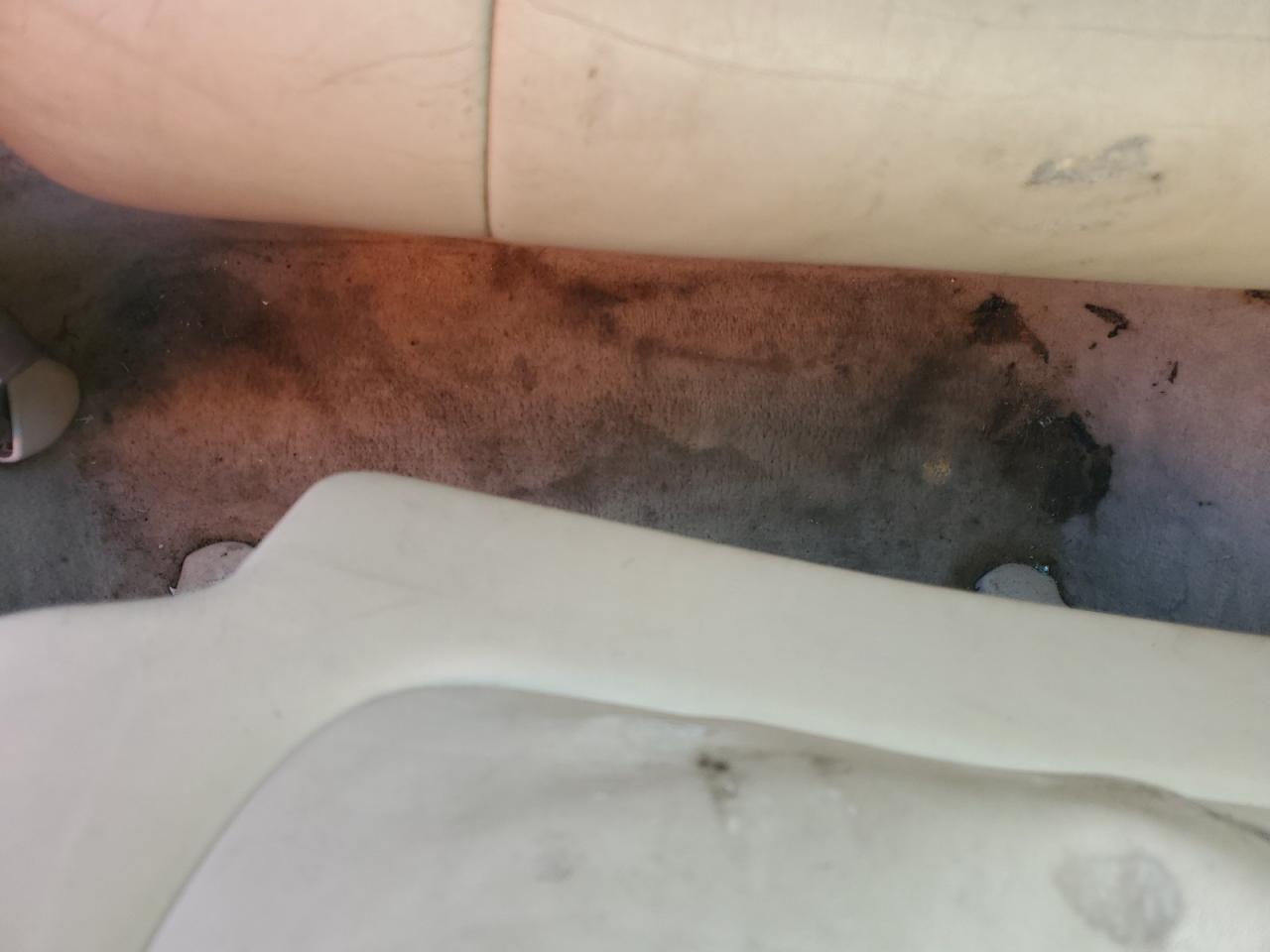 2002 Lexus Sc 430 White vin: JTHFN48YX20012865 Damage: Right Rear Carpet, Stained, Permanent
