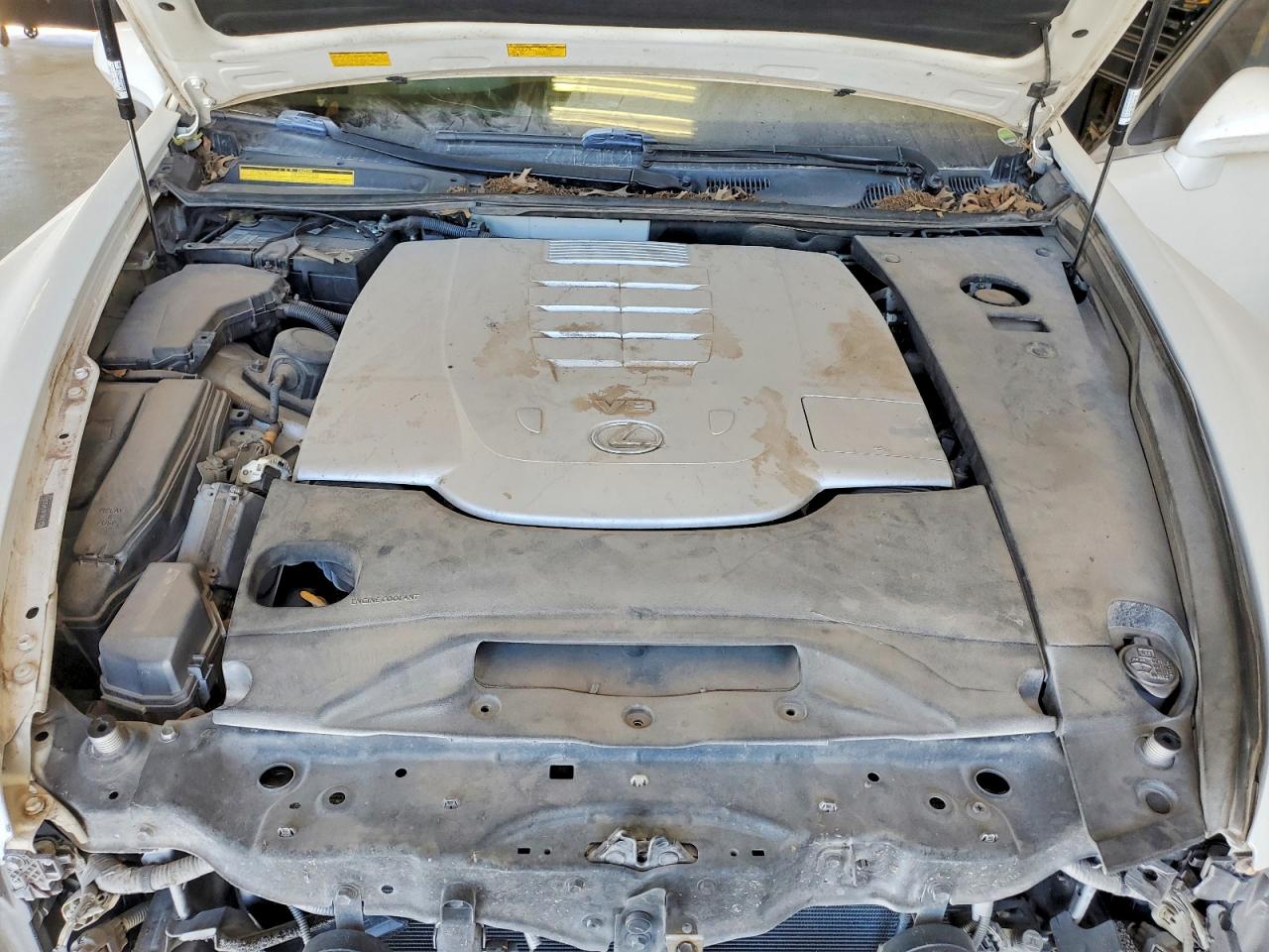 2009 Lexus Ls 460l Белый vin: JTHGL46F995034168