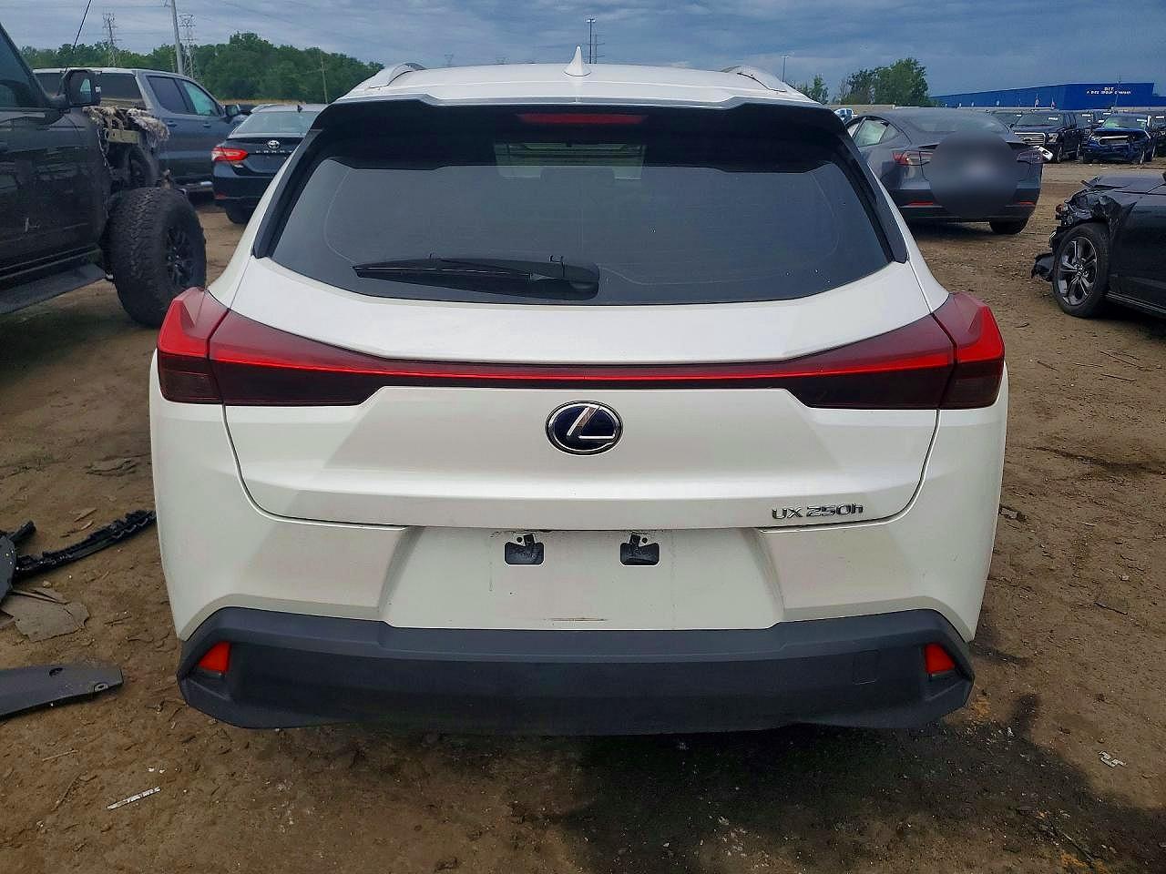 2019 Lexus Ux 250h White vin: JTHU9JBH6K2008397