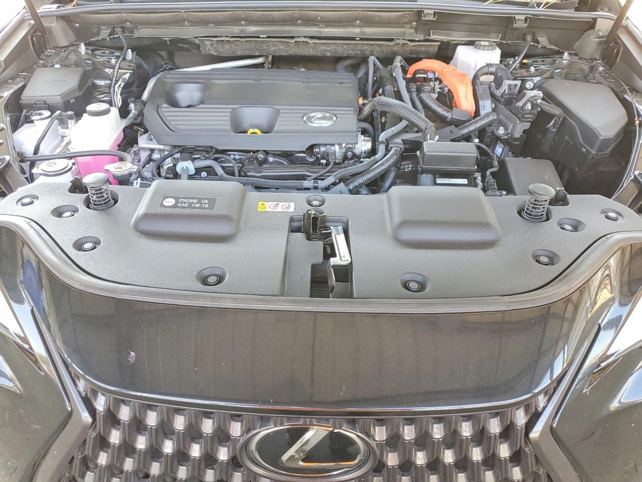 2023 Lexus Nx 350h Black vin: JTJAKCEZ3P5007414