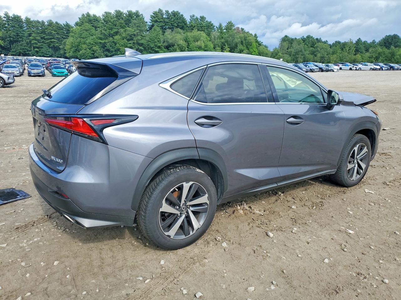 2018 Lexus Nx 300 Base Gray vin: JTJBARBZ0J2157830
