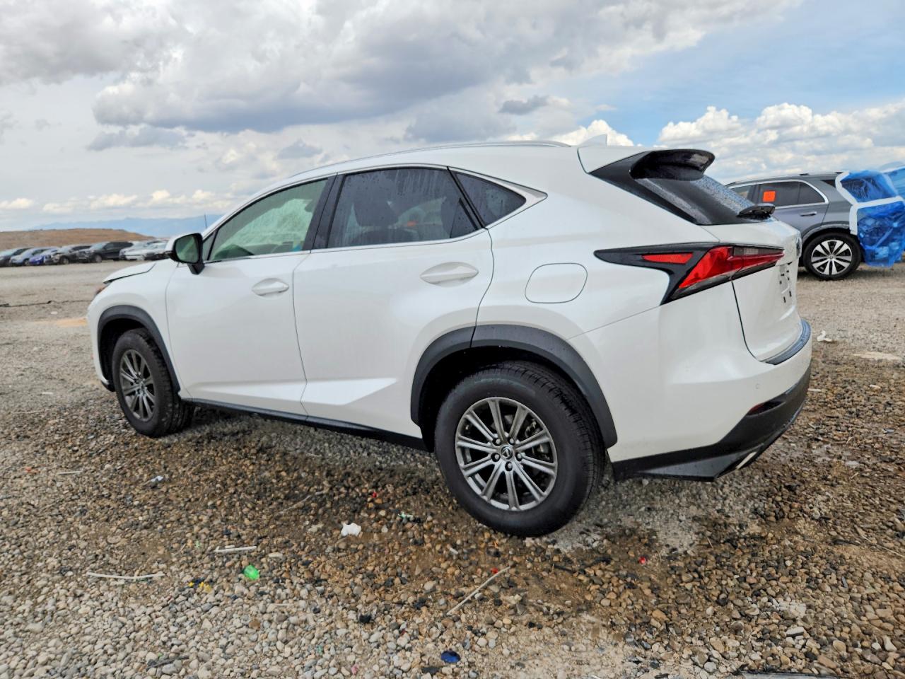2019 Lexus Nx 300 Base Белый vin: JTJBARBZ2K2180592
