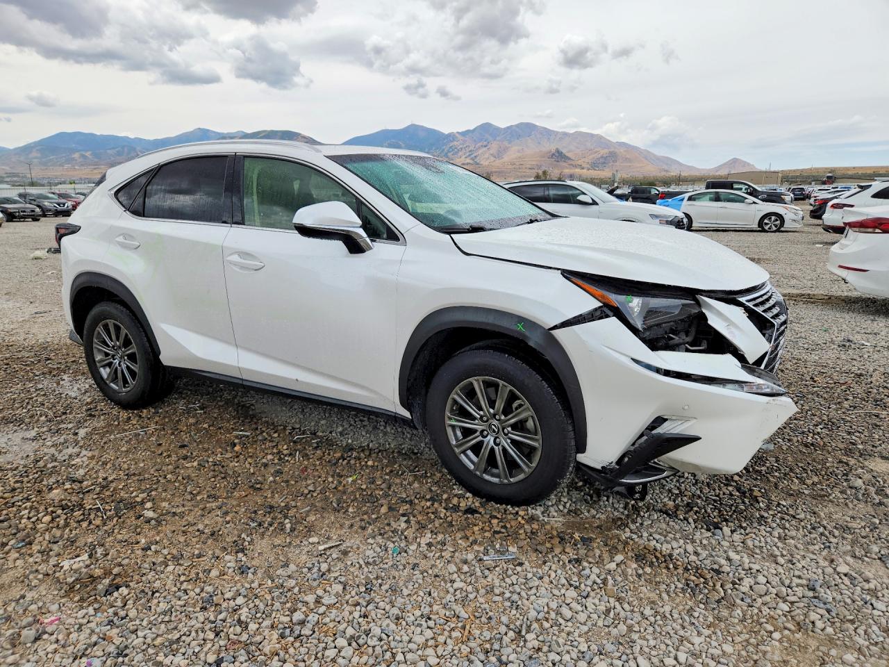 2019 Lexus Nx 300 Base Белый vin: JTJBARBZ2K2180592