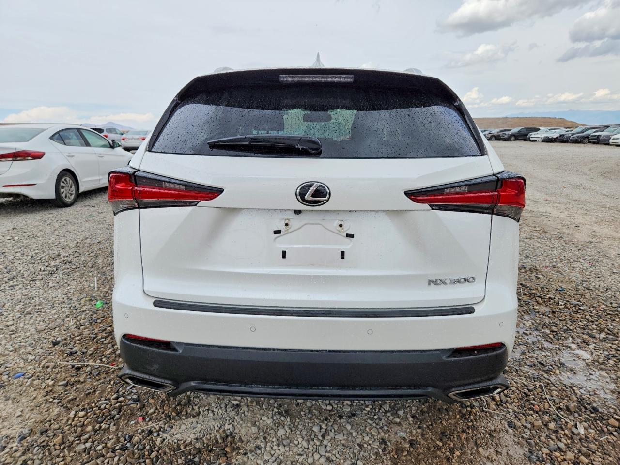 2019 Lexus Nx 300 Base Белый vin: JTJBARBZ2K2180592