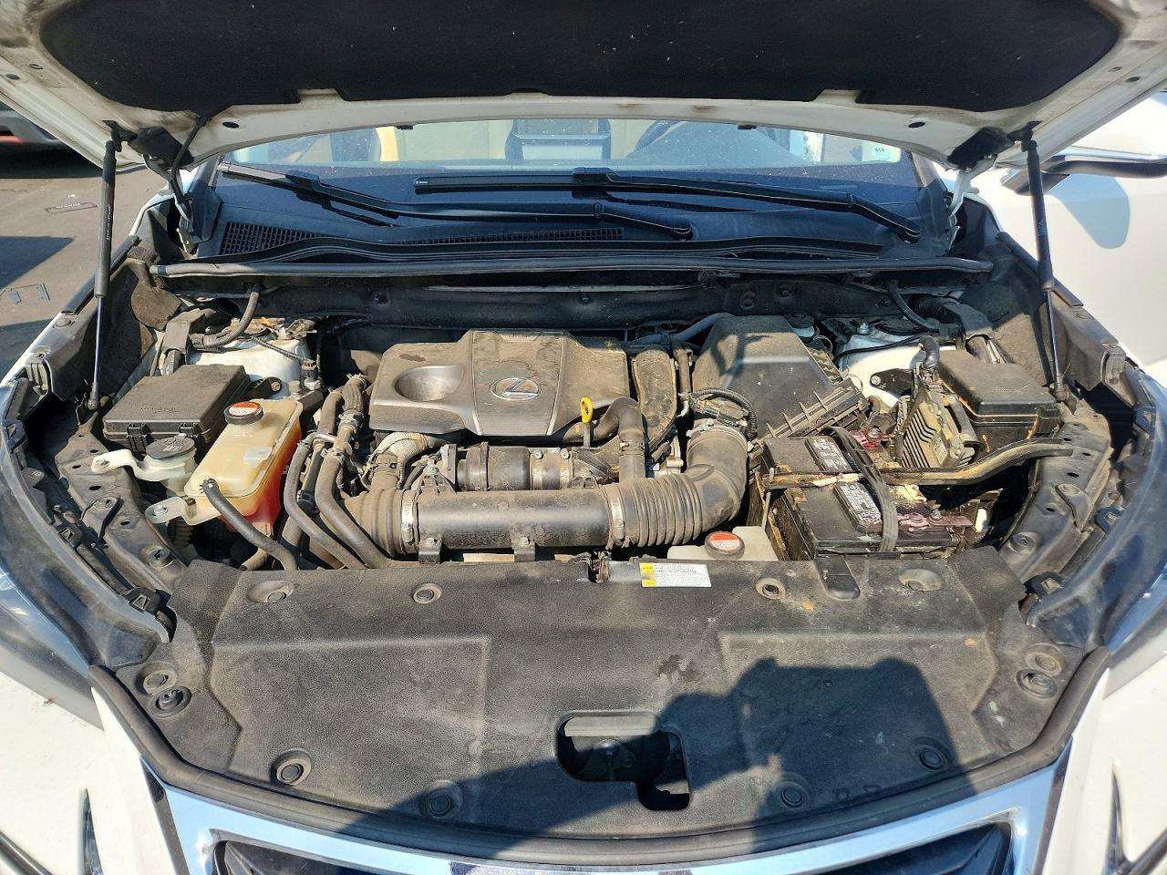 2015 Lexus Nx 200t Белый vin: JTJBARBZ9F2031408