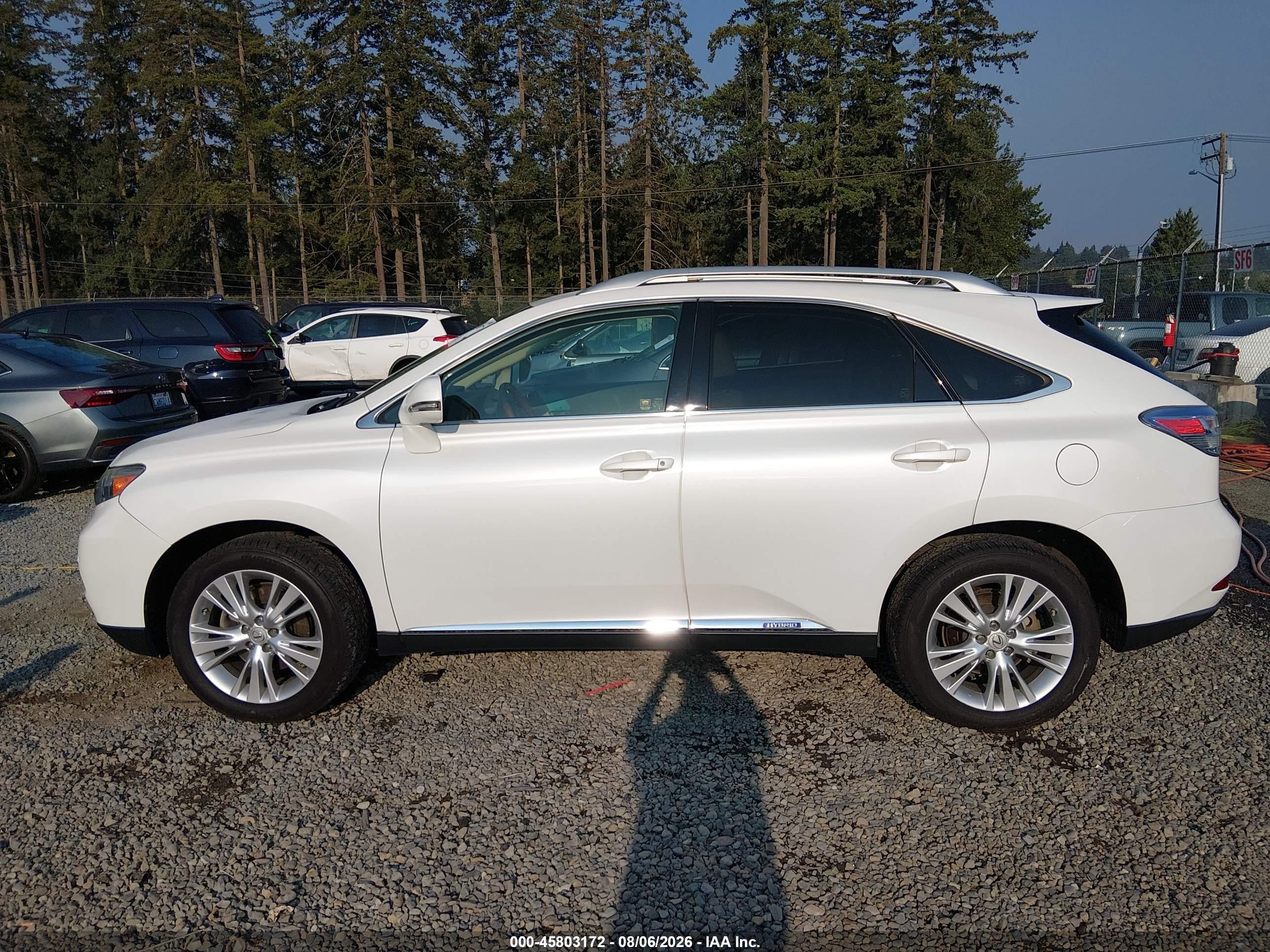 2010 Lexus Rx 450h   White vin: JTJBC1BA1A2012611