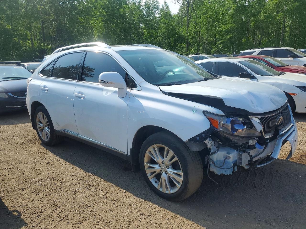 2010 Lexus Rx 450h Белый vin: JTJBC1BAXA2022778