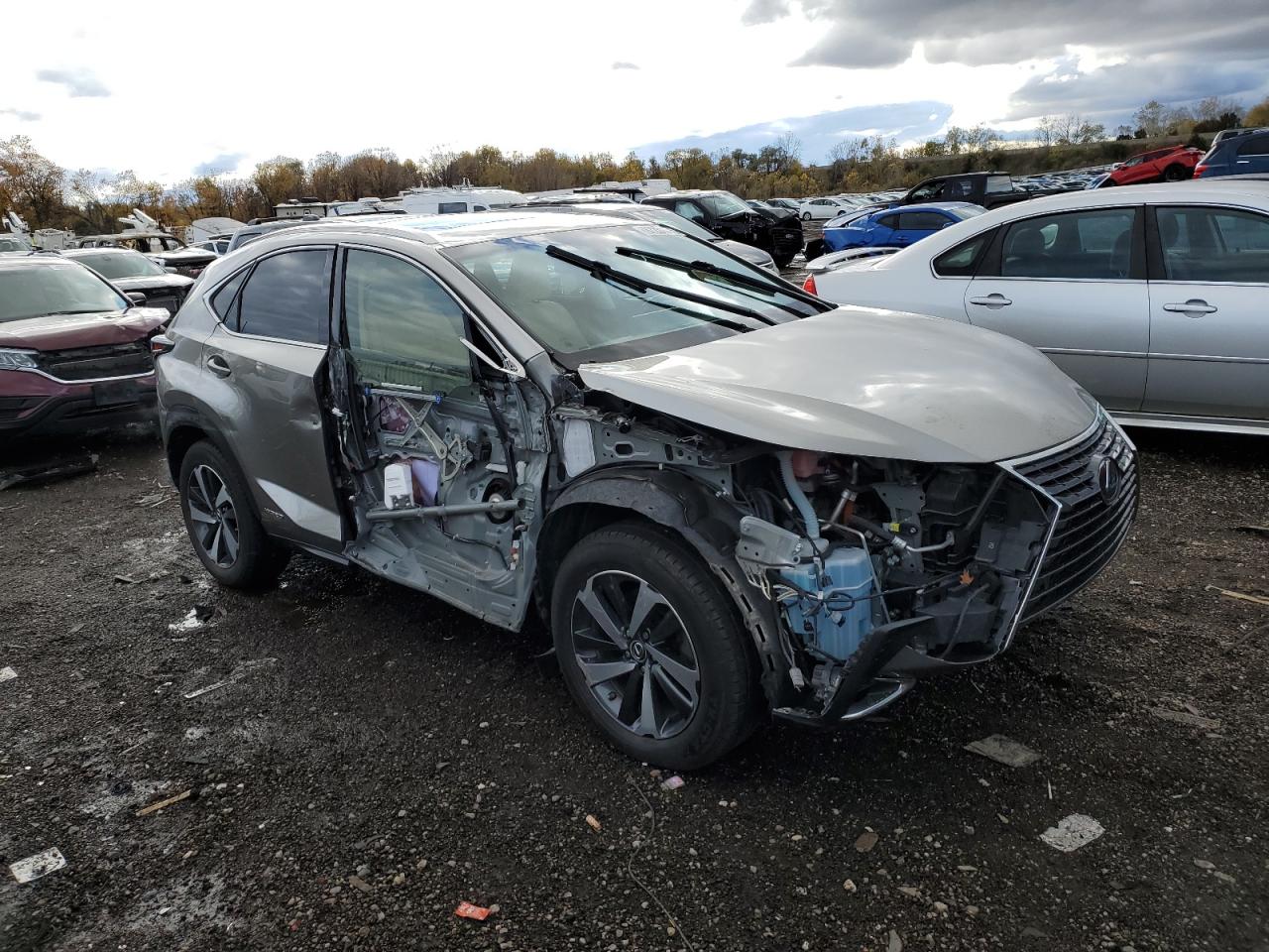 2018 Lexus Nx 300h Серый vin: JTJBJRBZ7J2086917