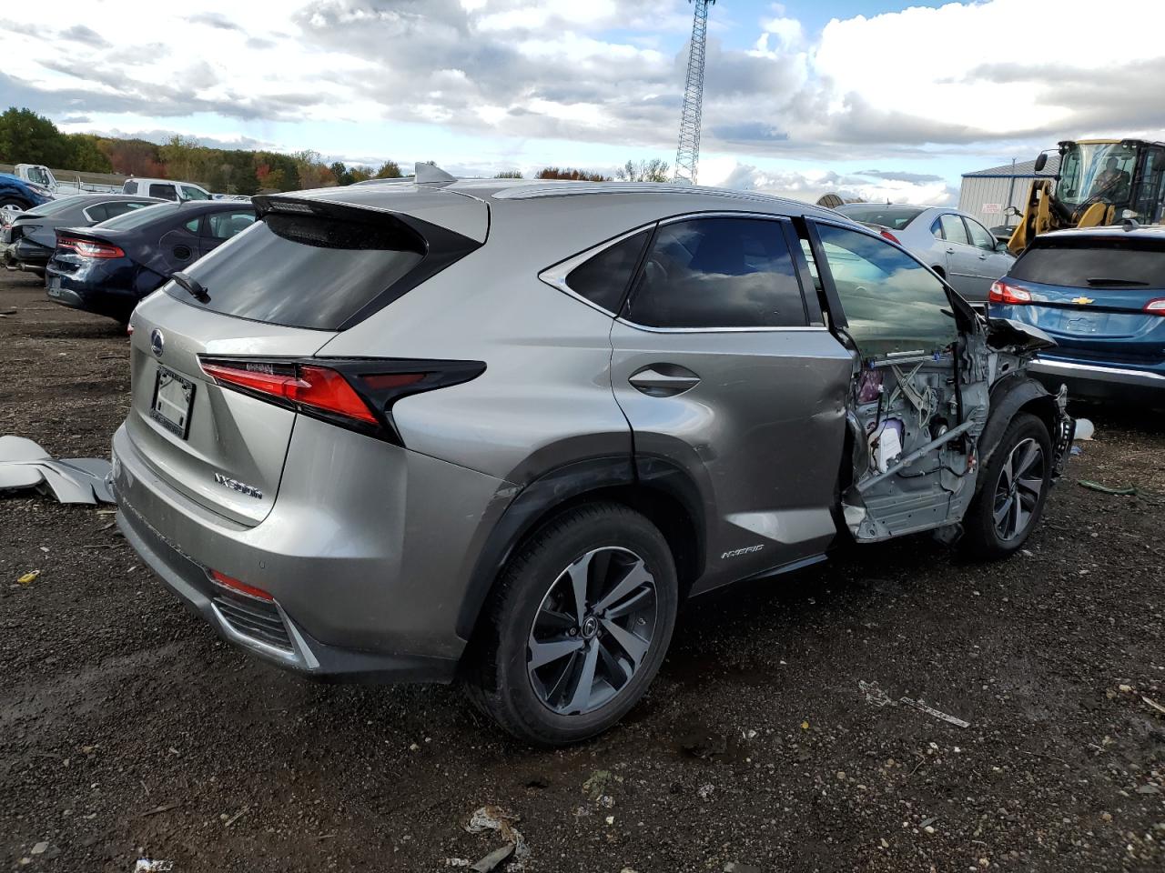 2018 Lexus Nx 300h Серый vin: JTJBJRBZ7J2086917