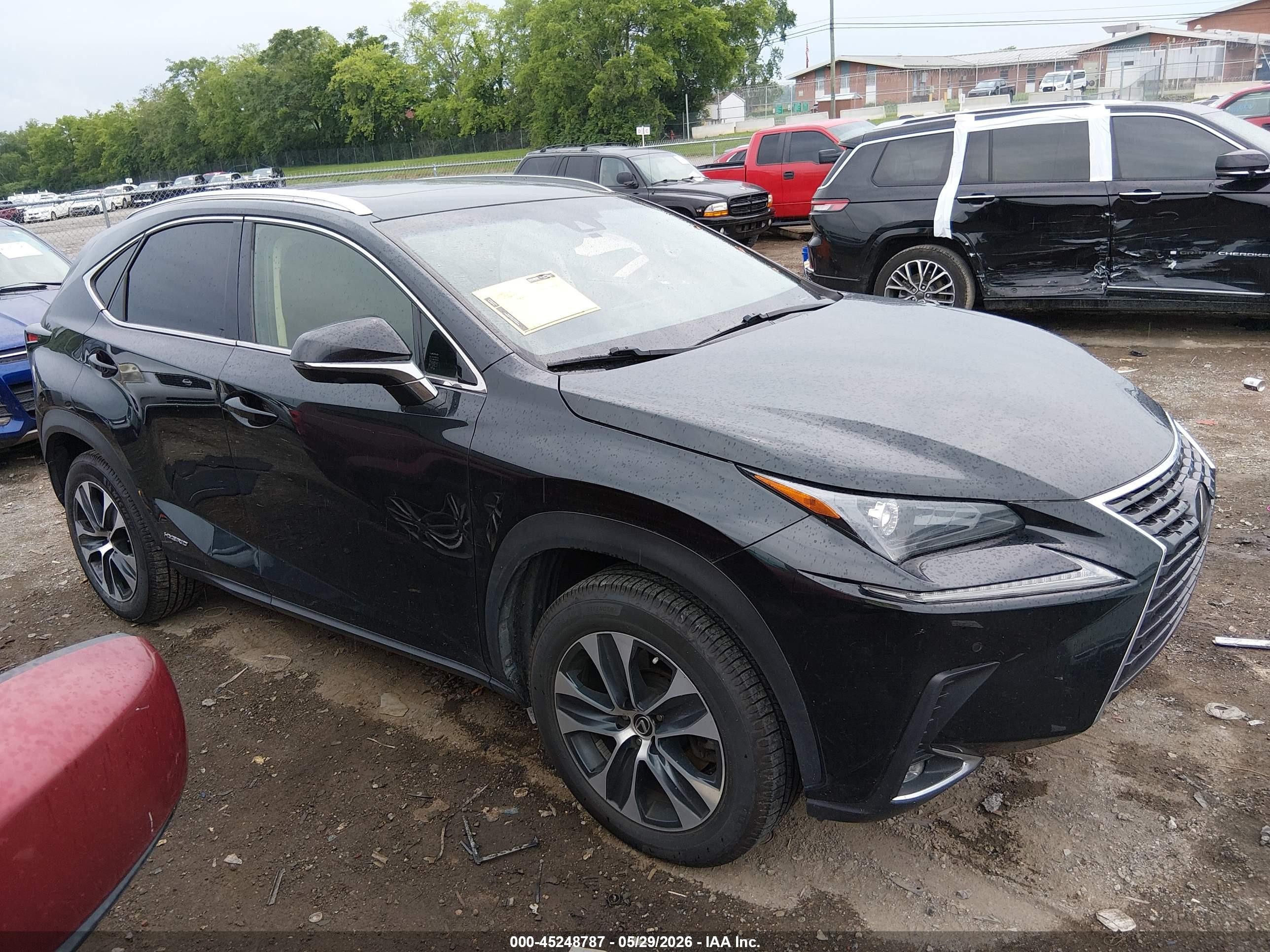 2019 Lexus Nx 300h   Черный vin: JTJBJRBZ7K2104186