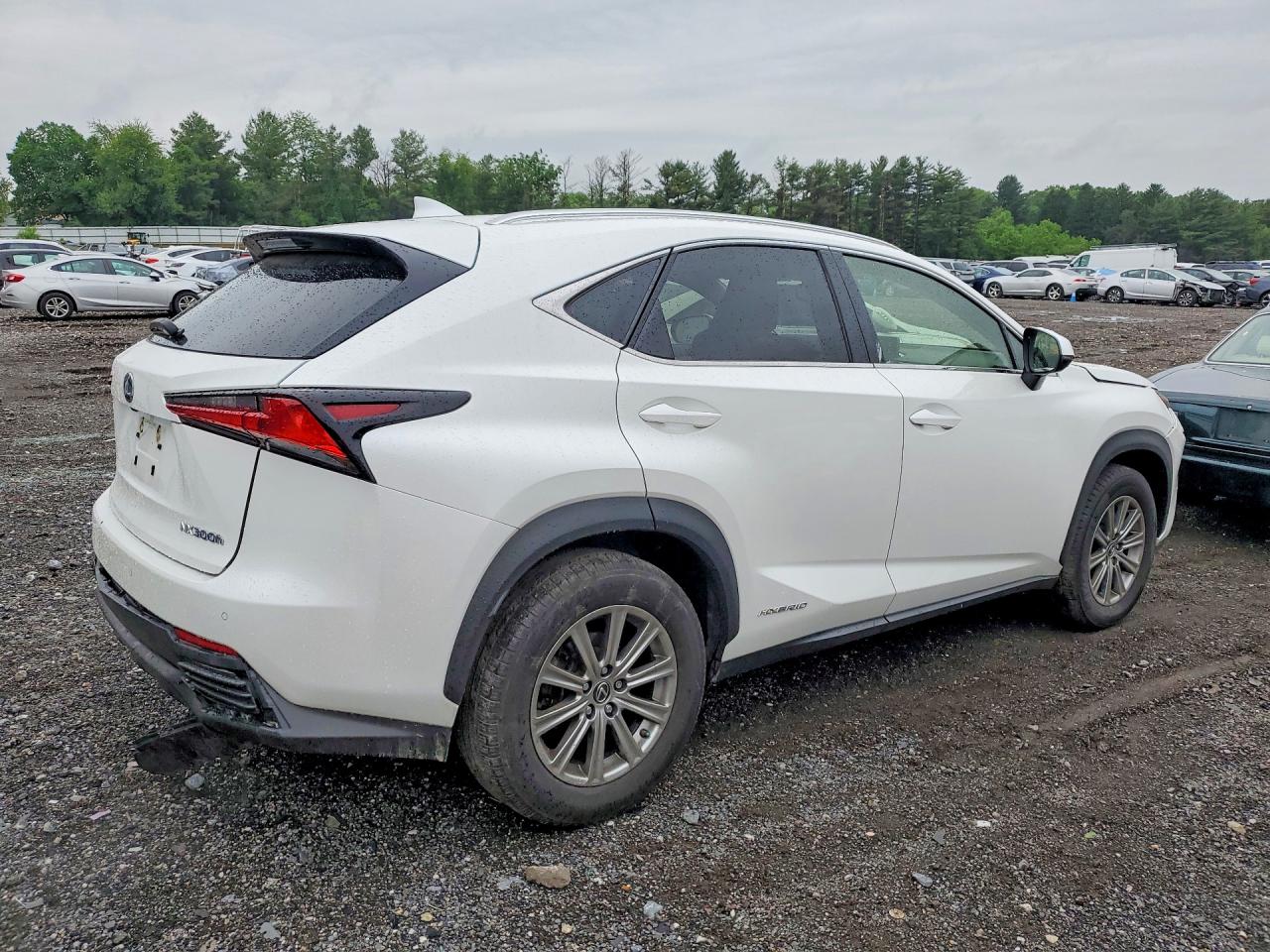2019 Lexus Nx 300h White vin: JTJBJRBZ8K2111423
