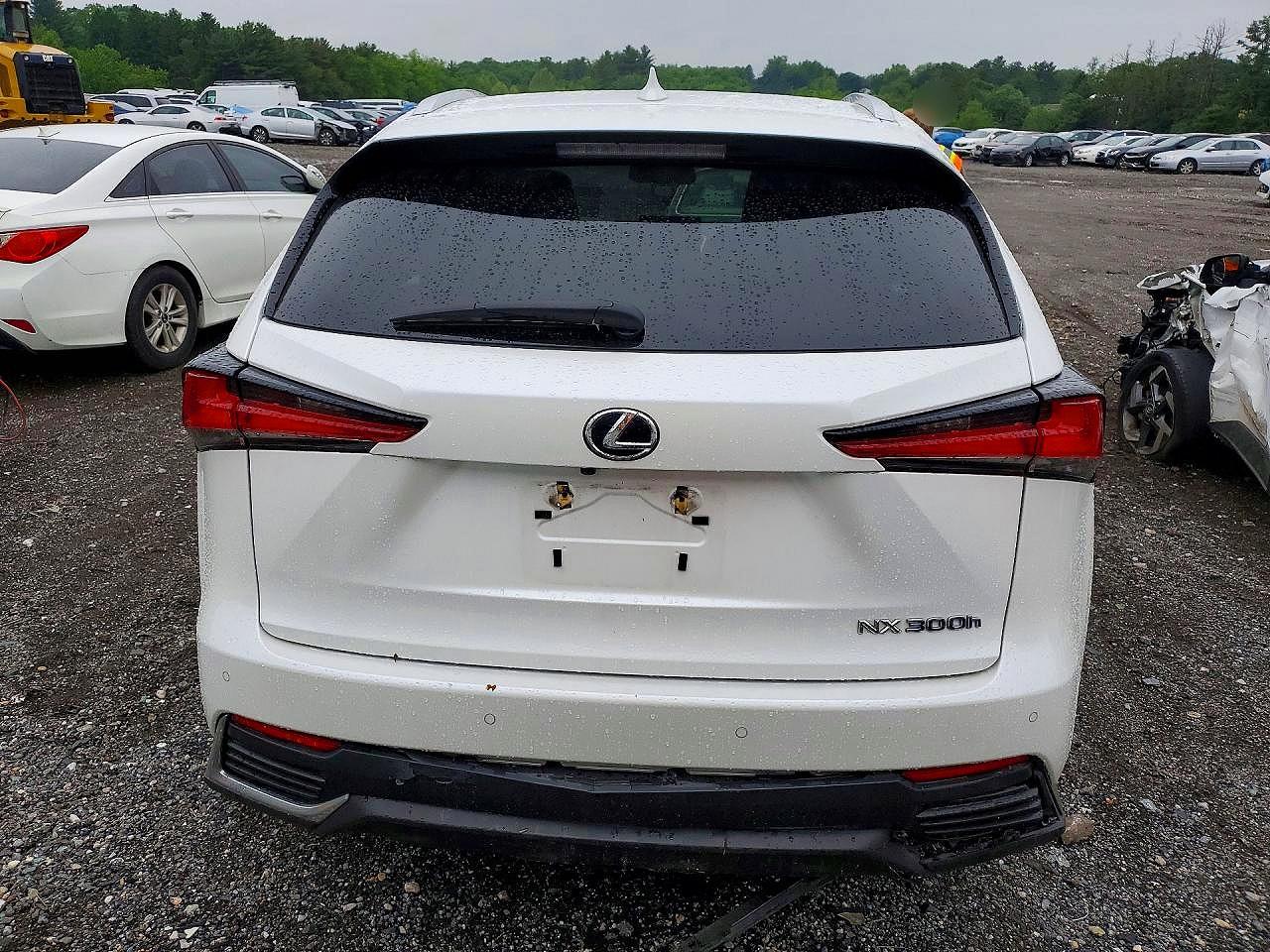 2019 Lexus Nx 300h White vin: JTJBJRBZ8K2111423