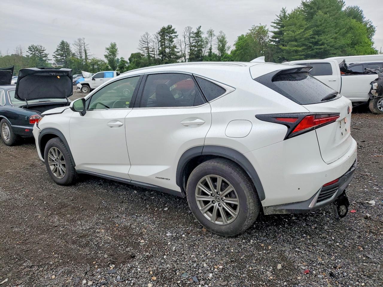 2019 Lexus Nx 300h White vin: JTJBJRBZ8K2111423